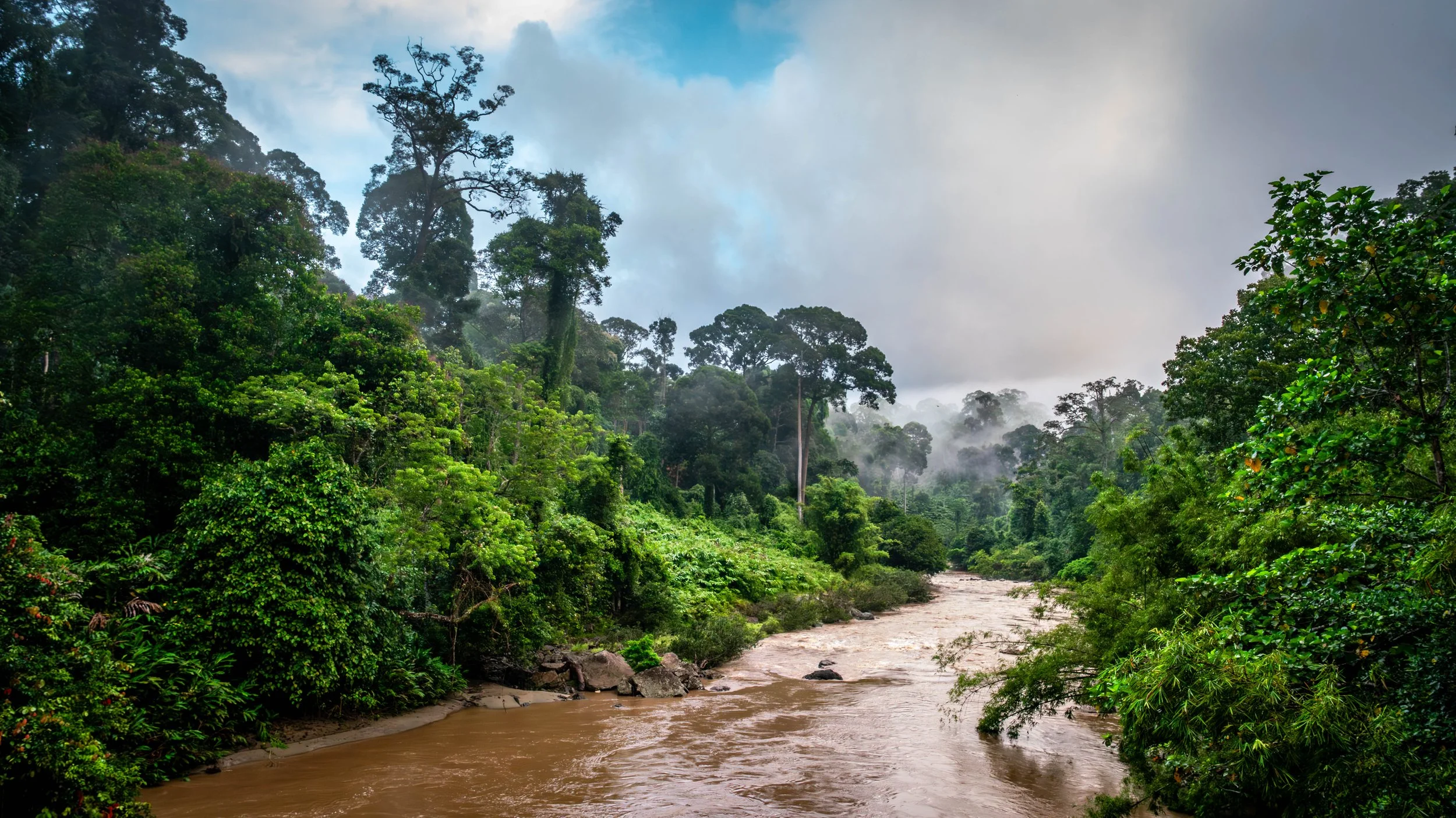 Borneo-Web-033.jpg