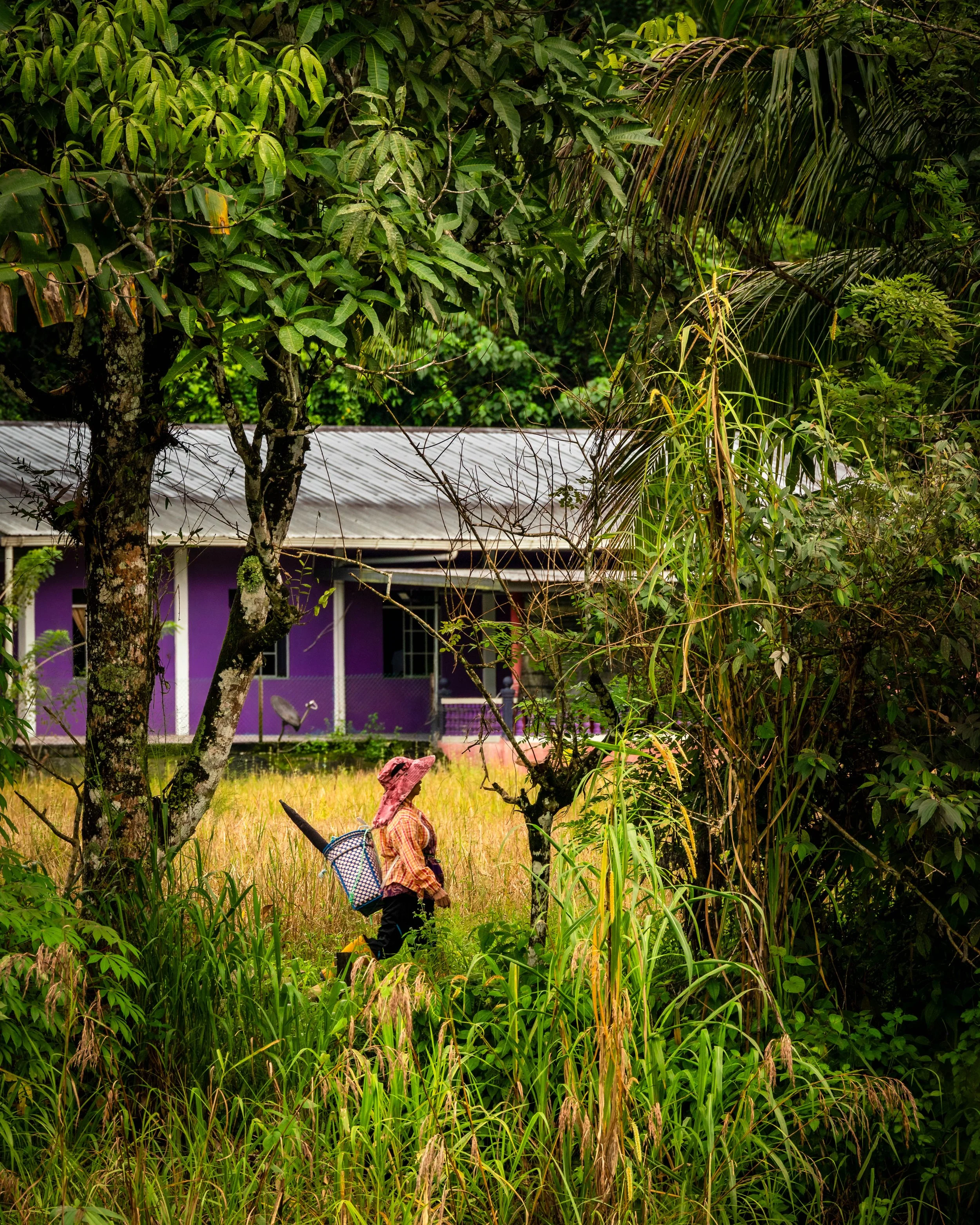 Borneo-Web-056.jpg