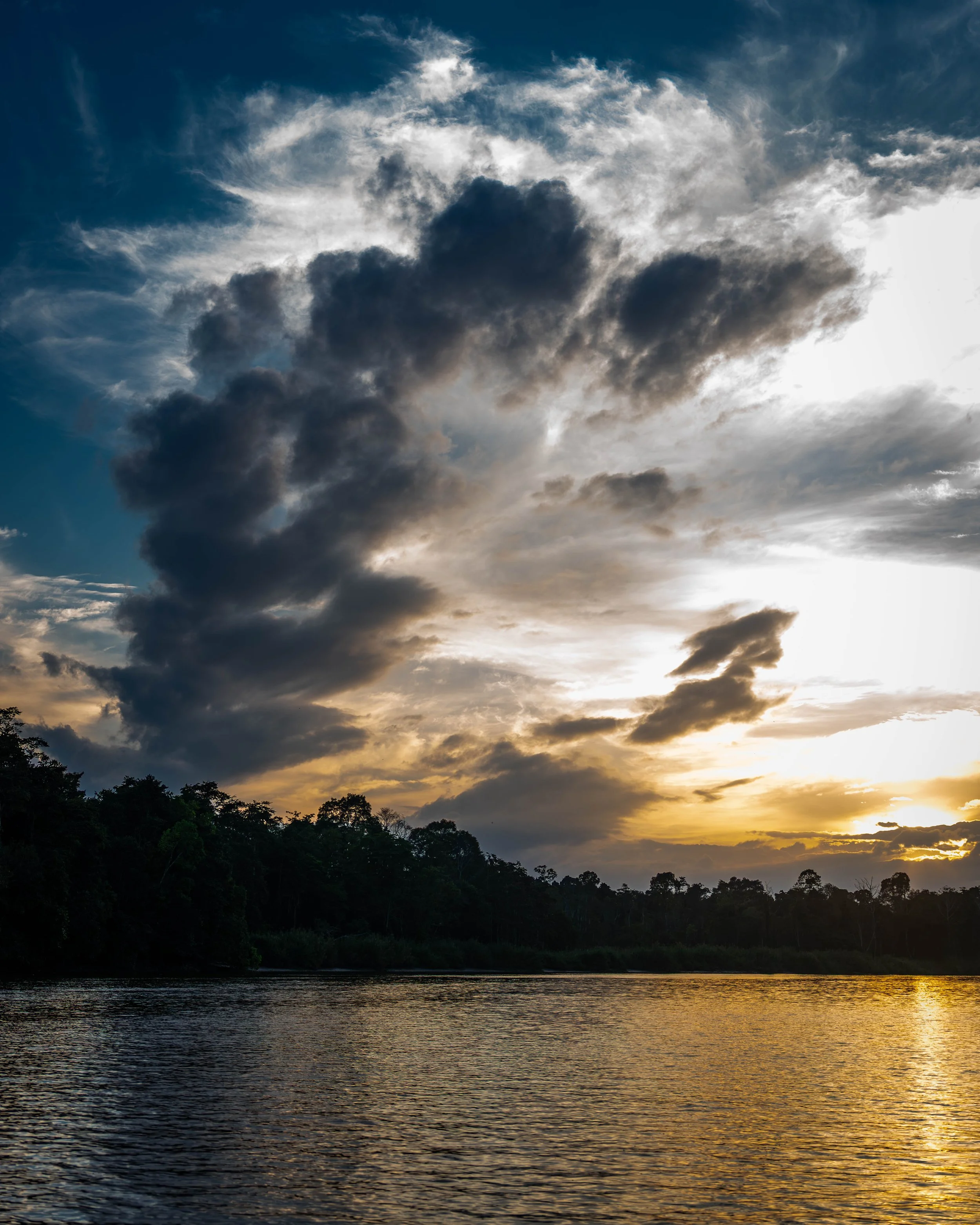Borneo-Web-075.jpg