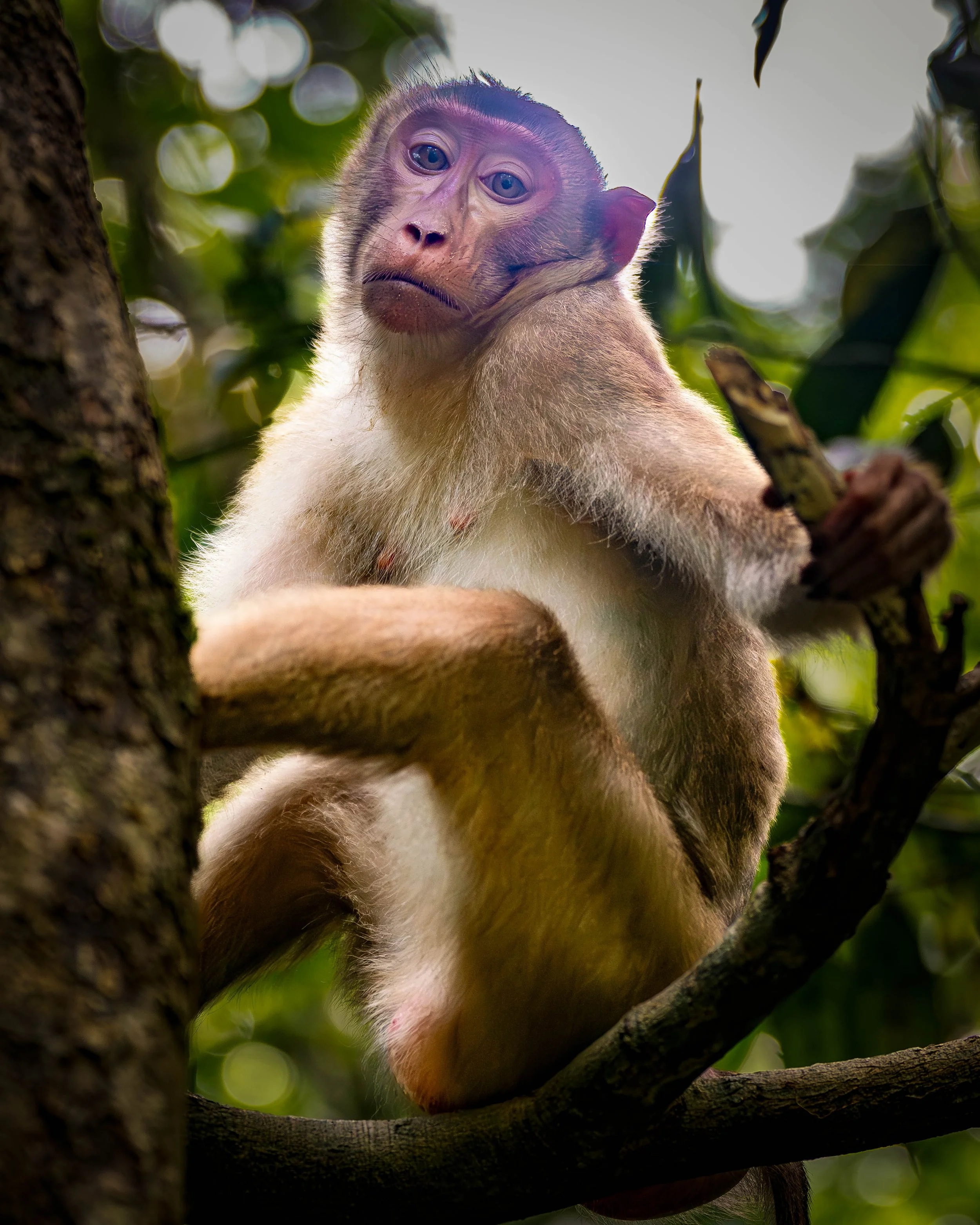 Borneo-Web-081.jpg