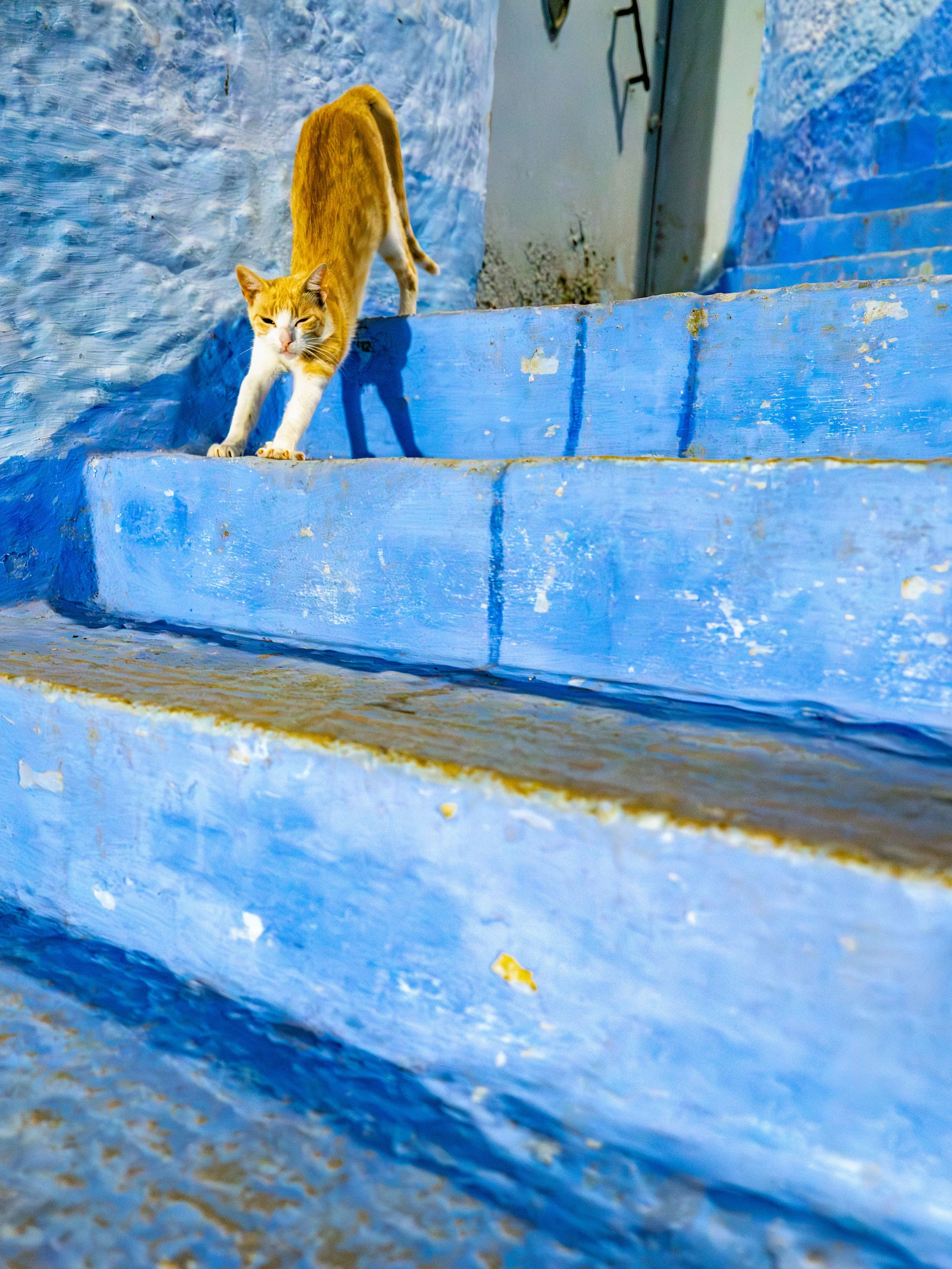 Morocco-01169.jpg
