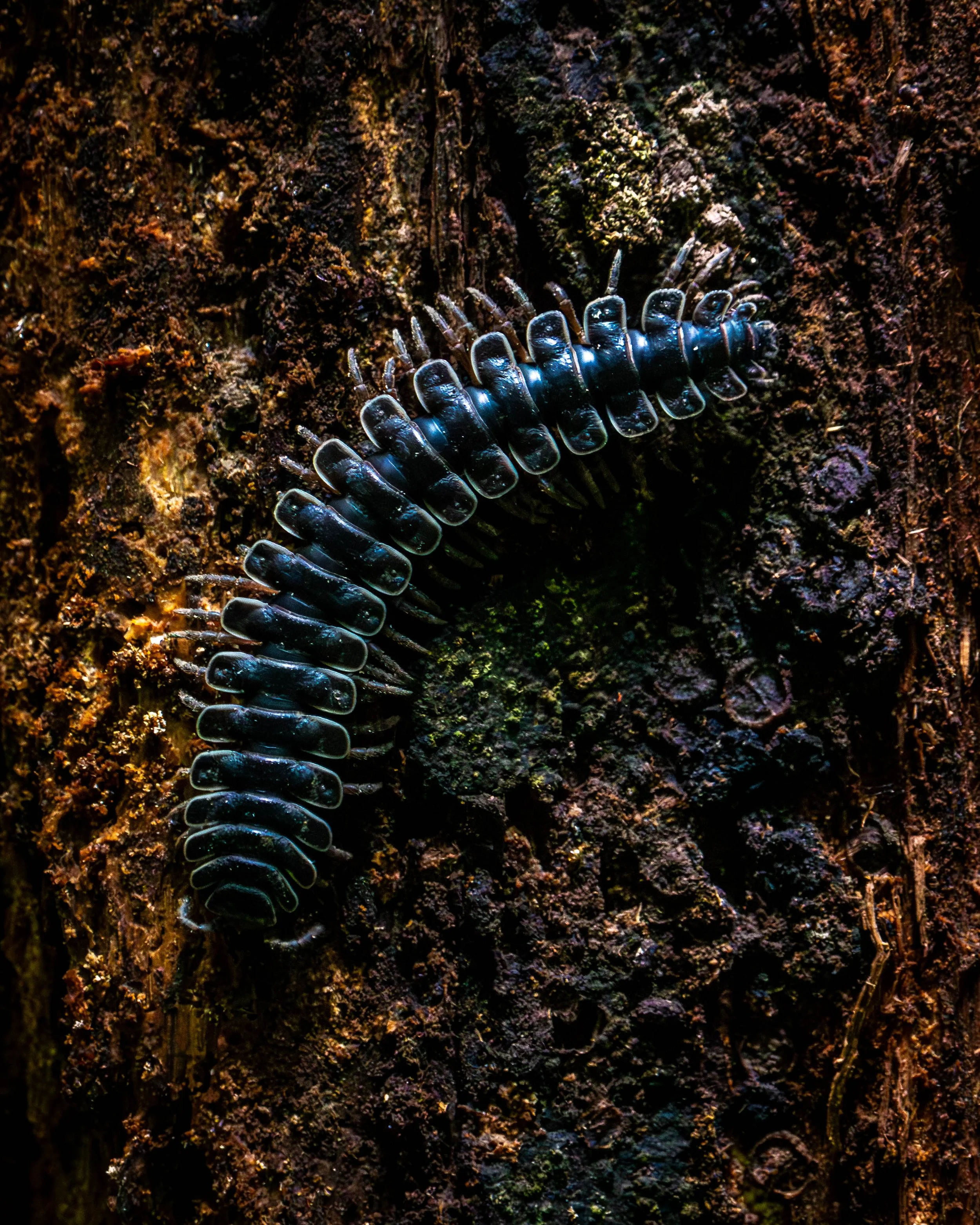 Borneo-Web-070.jpg