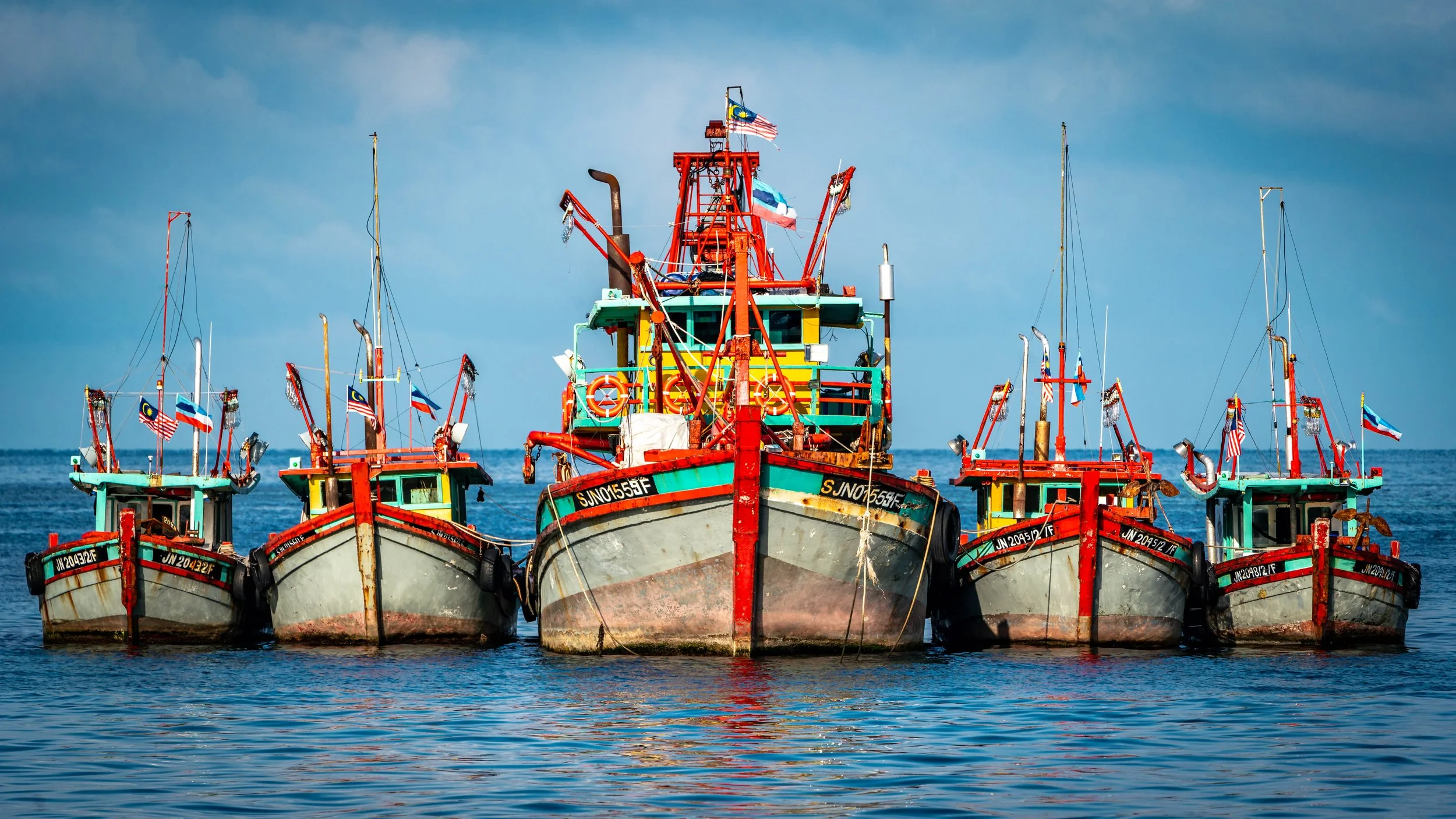 Borneo-Web-050.jpg