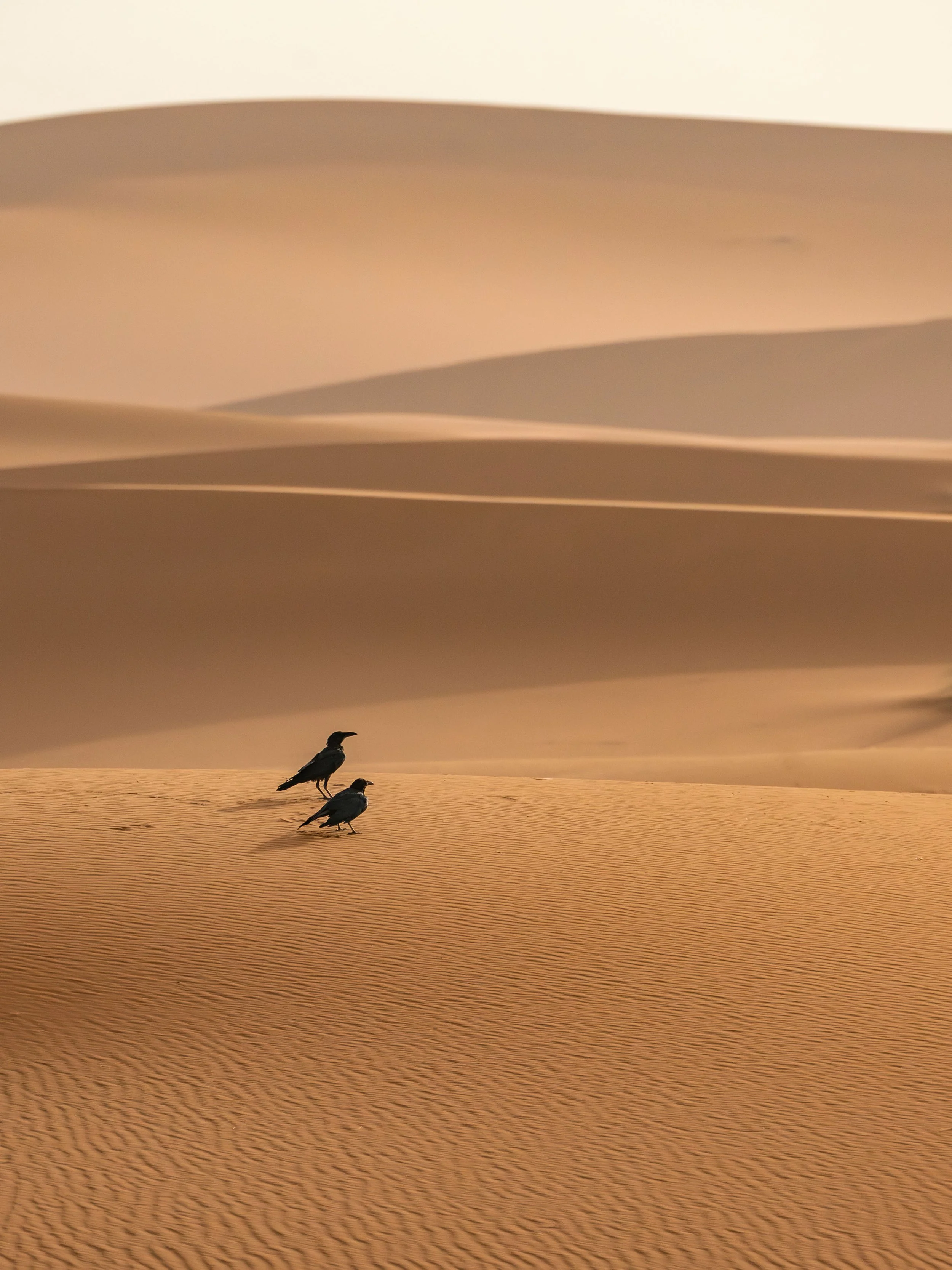 Morocco-0393.jpg