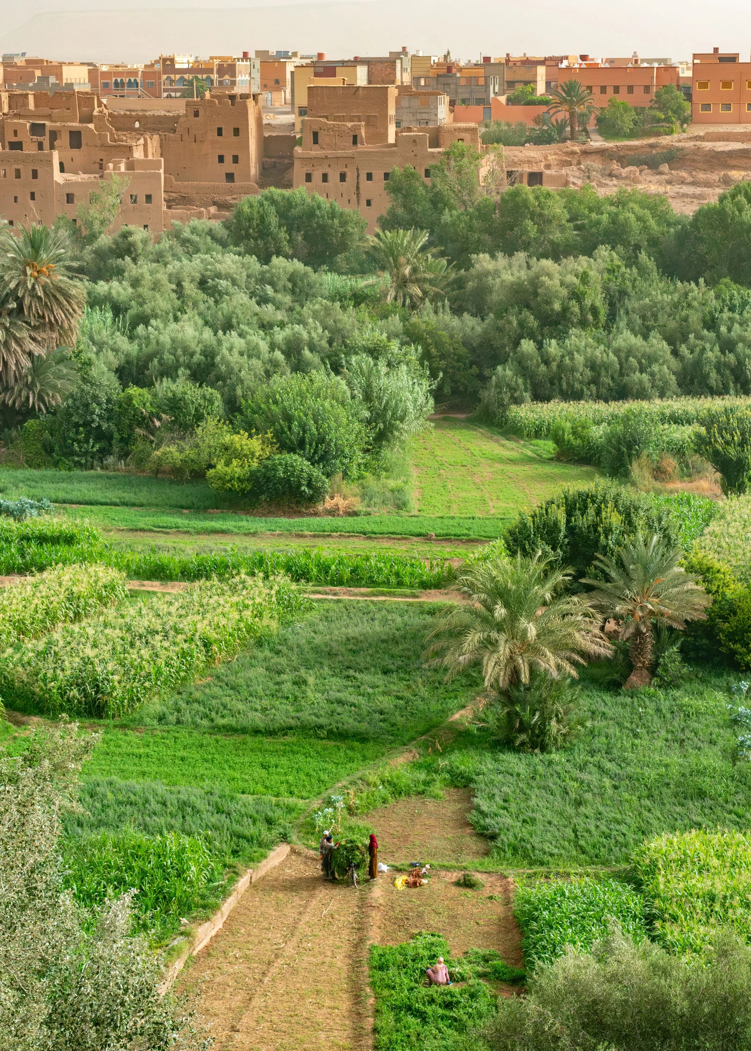 Morocco-0587.jpg