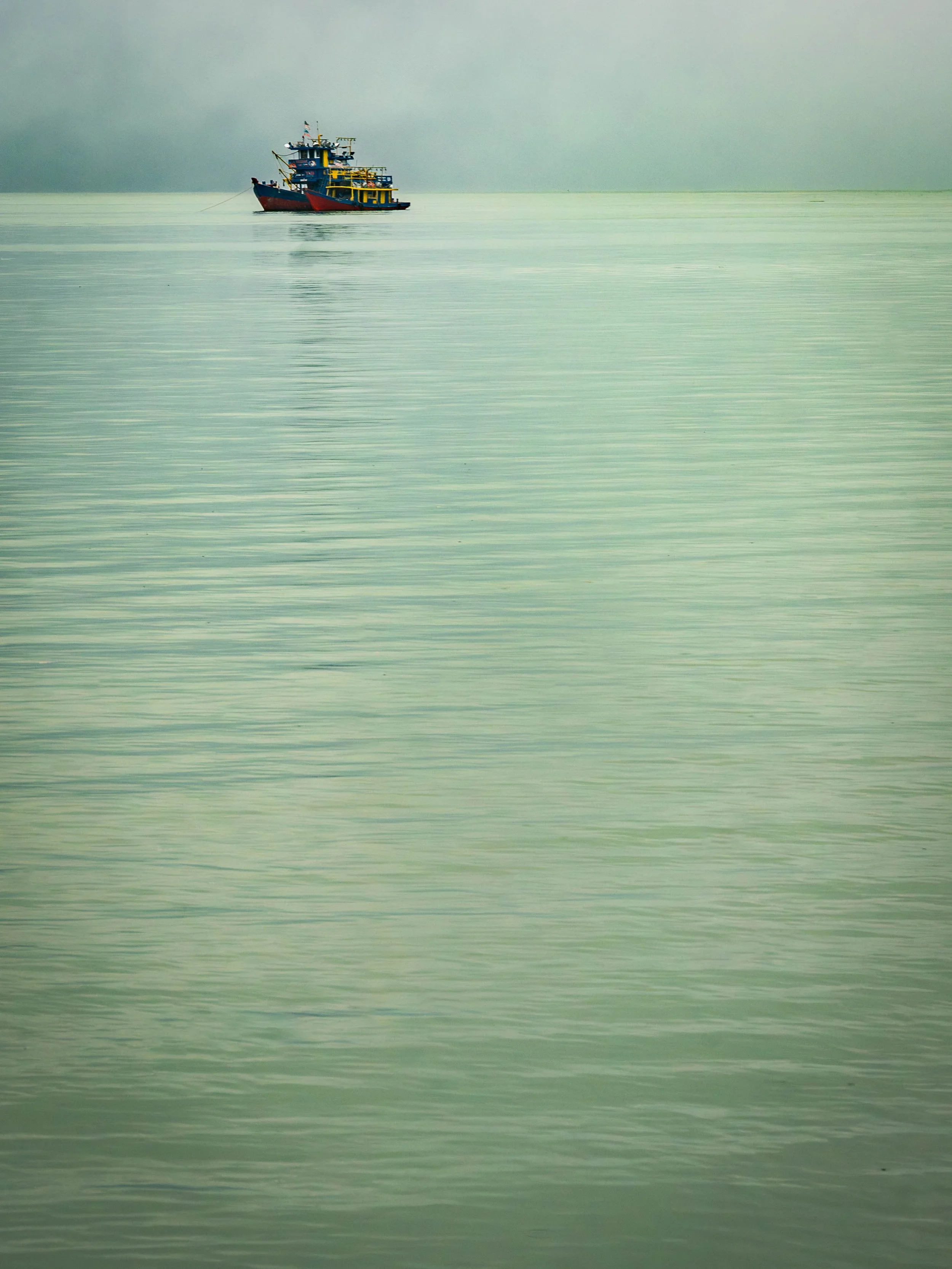 Borneo-Web-016.jpg