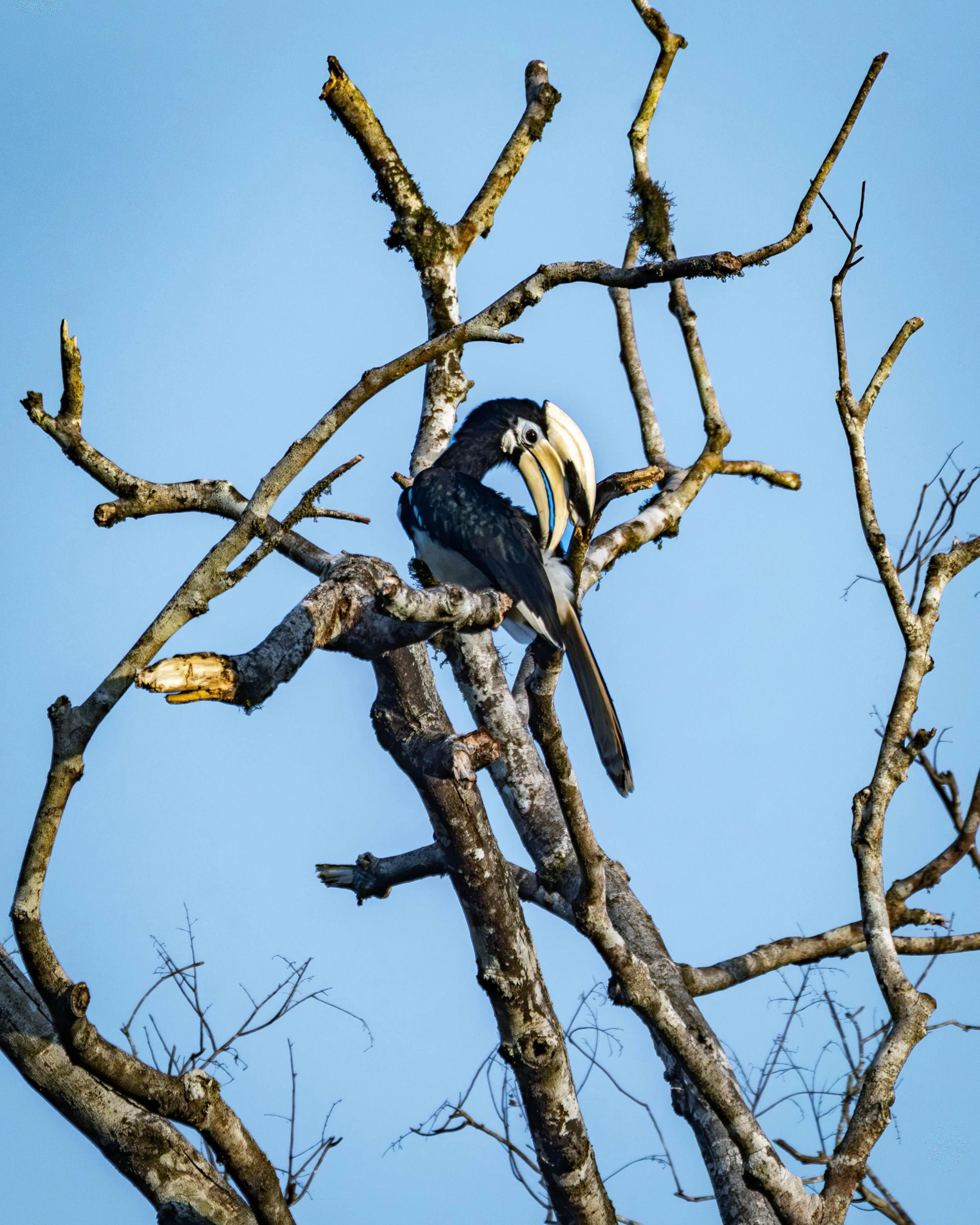 Borneo-Web-067.jpg