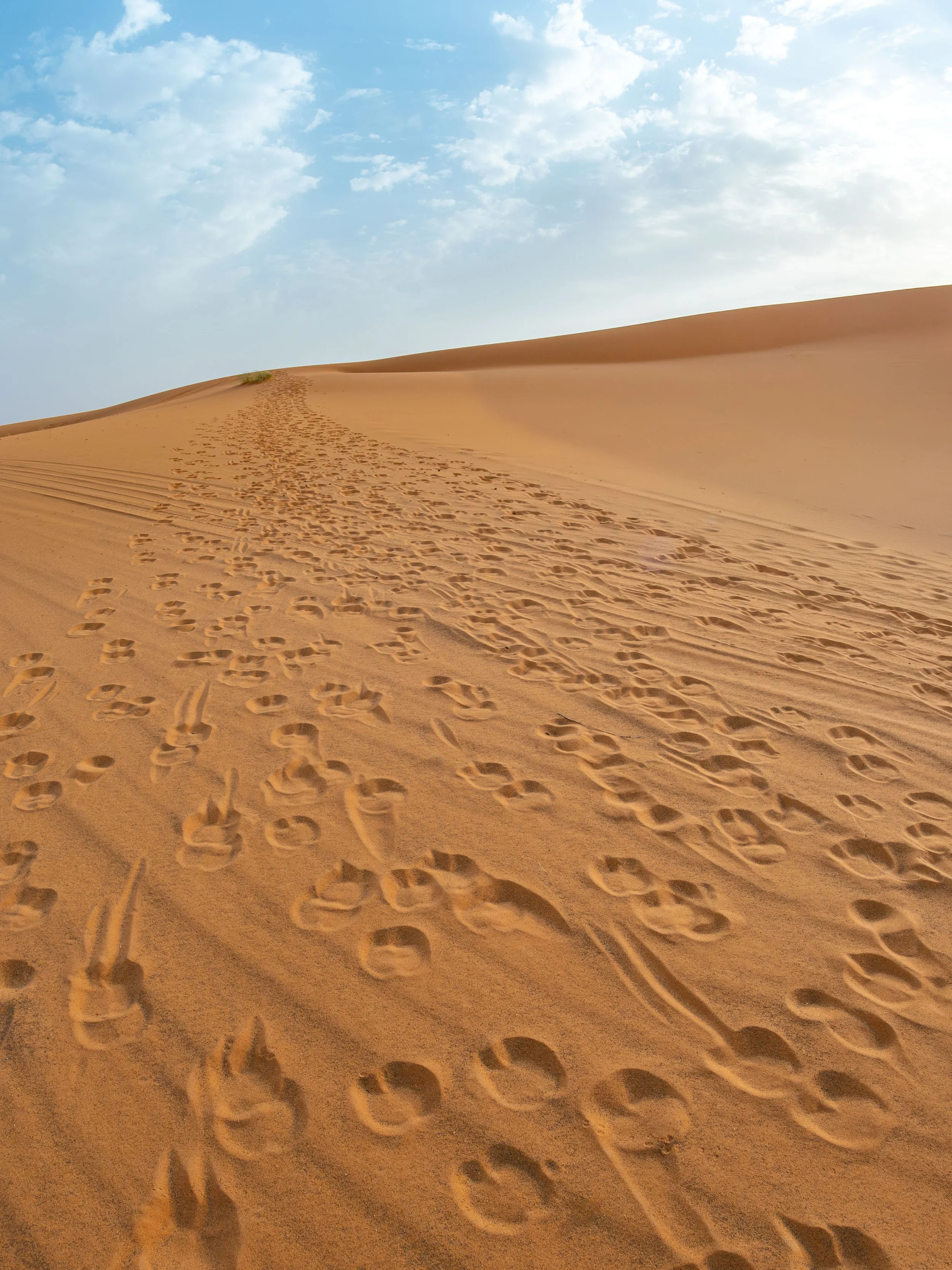 Morocco-0372.jpg