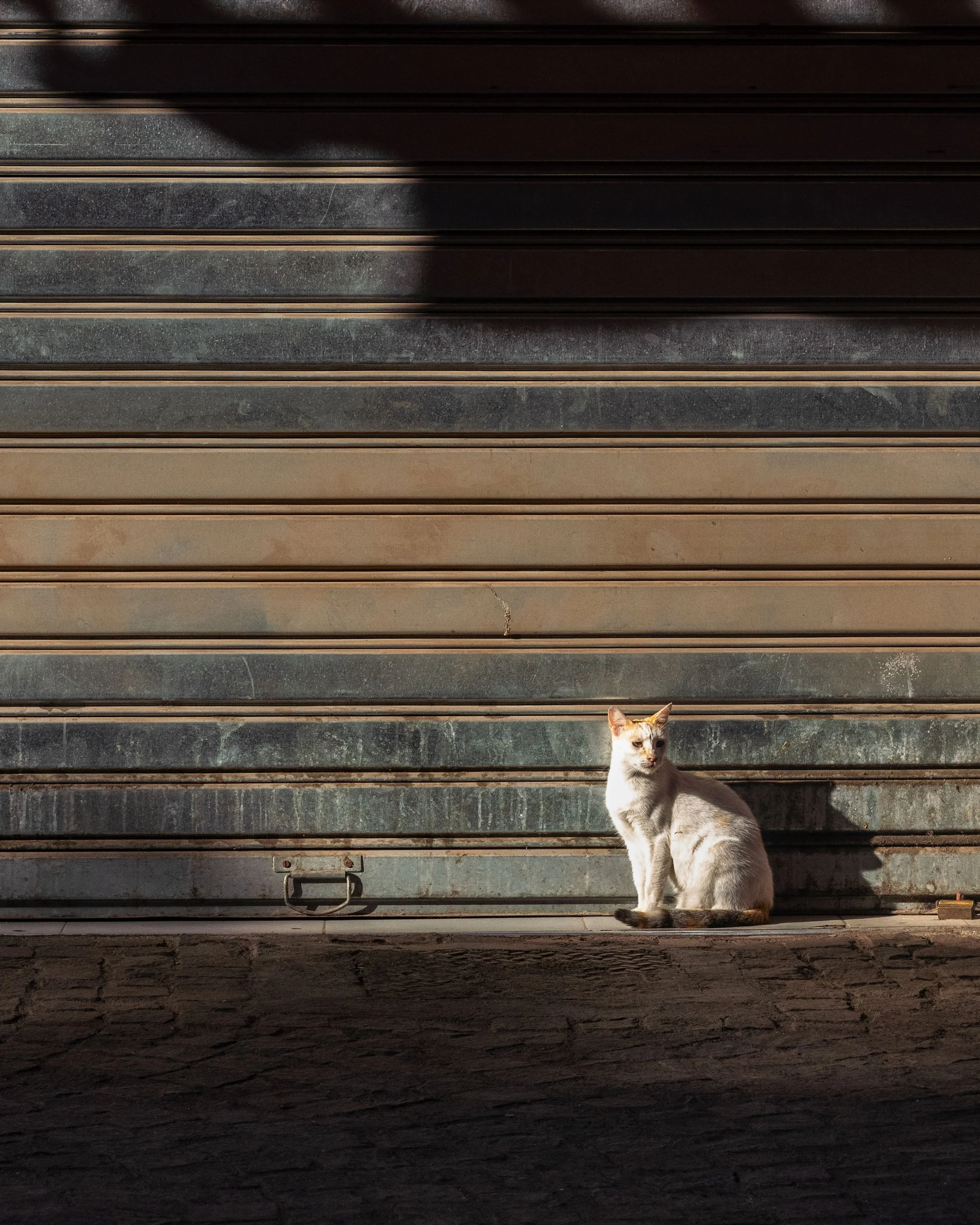 Morocco-0961.jpg