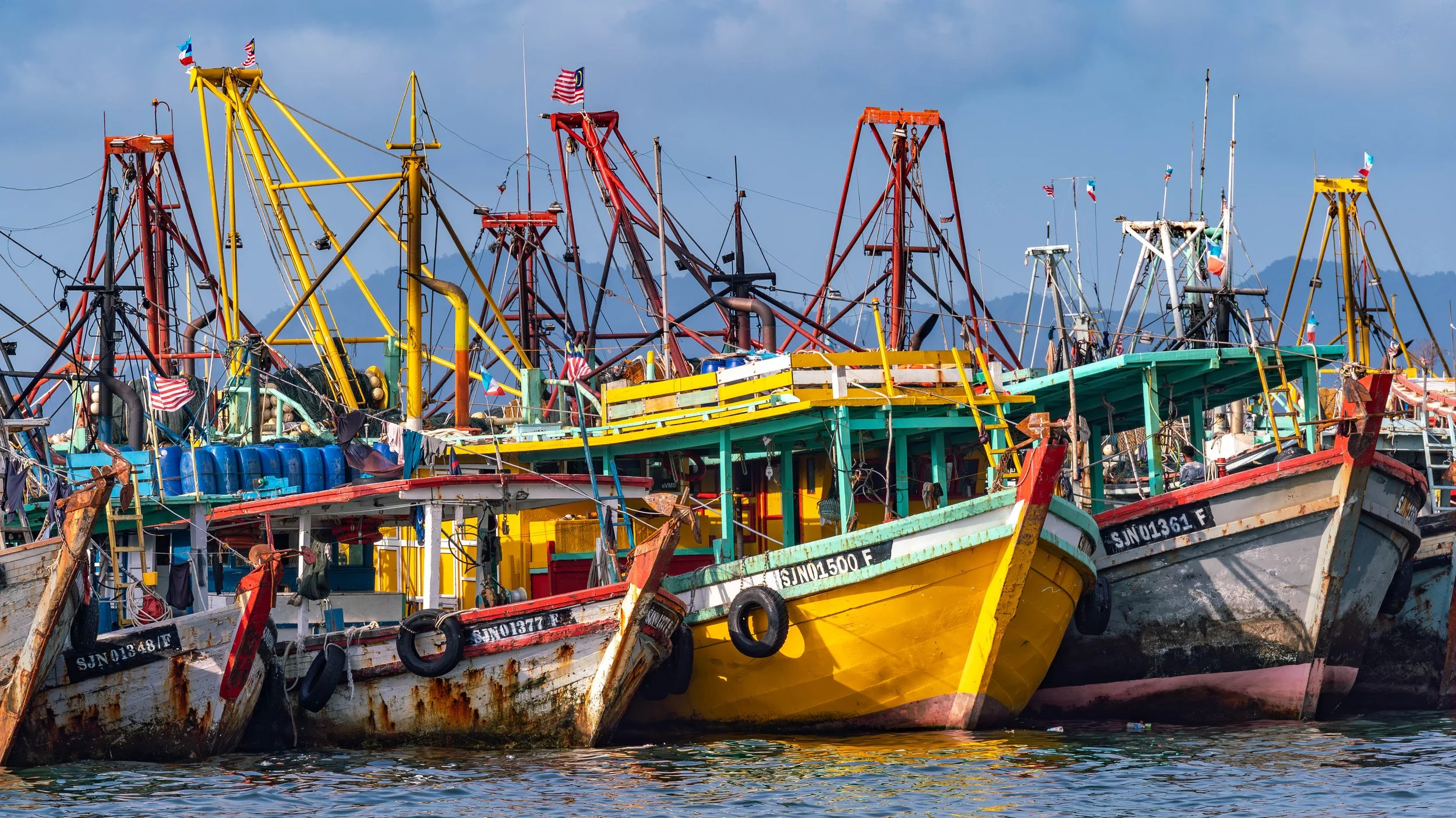 Borneo-Web-091.jpg