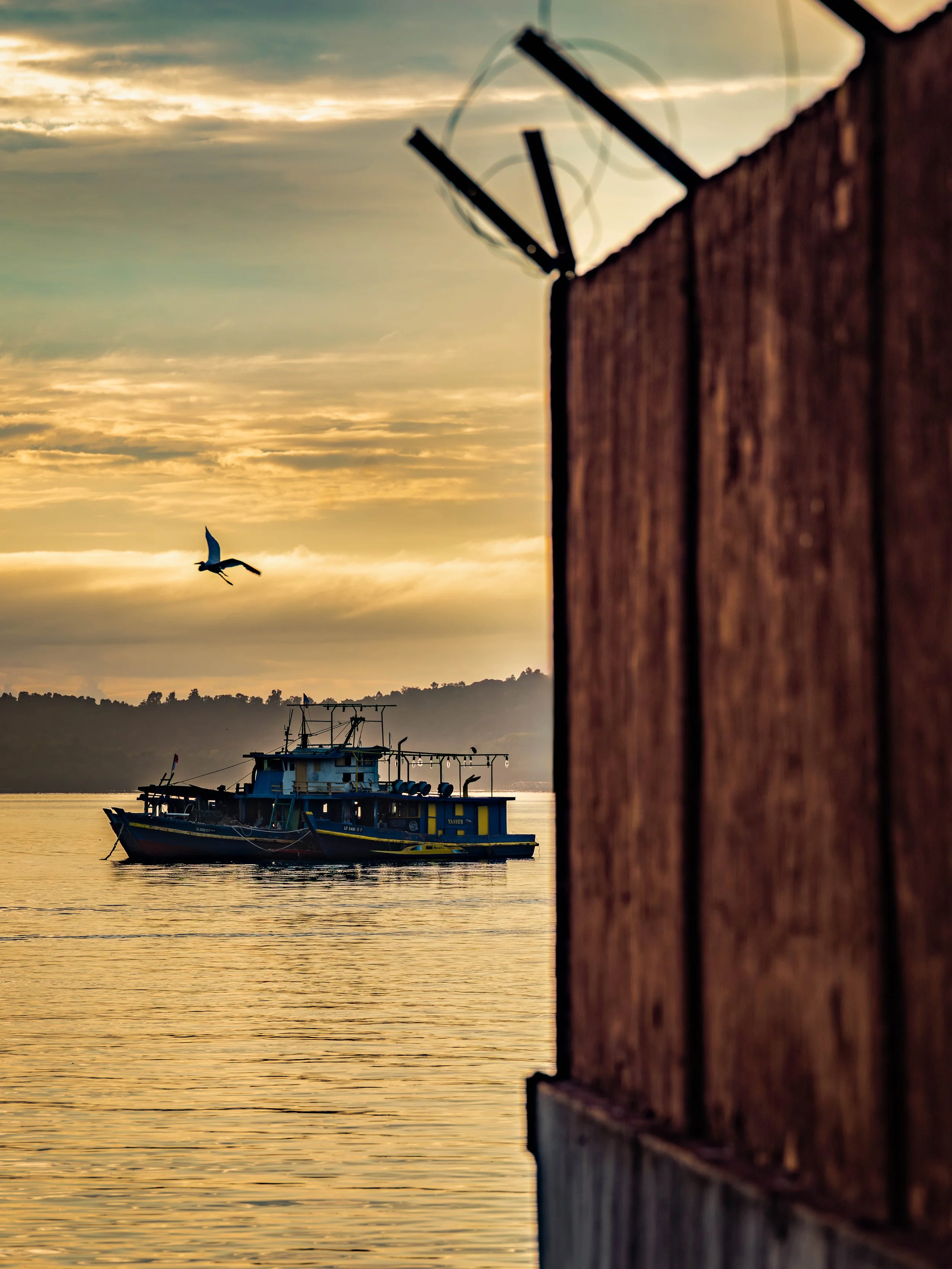 Borneo-Web-010.jpg