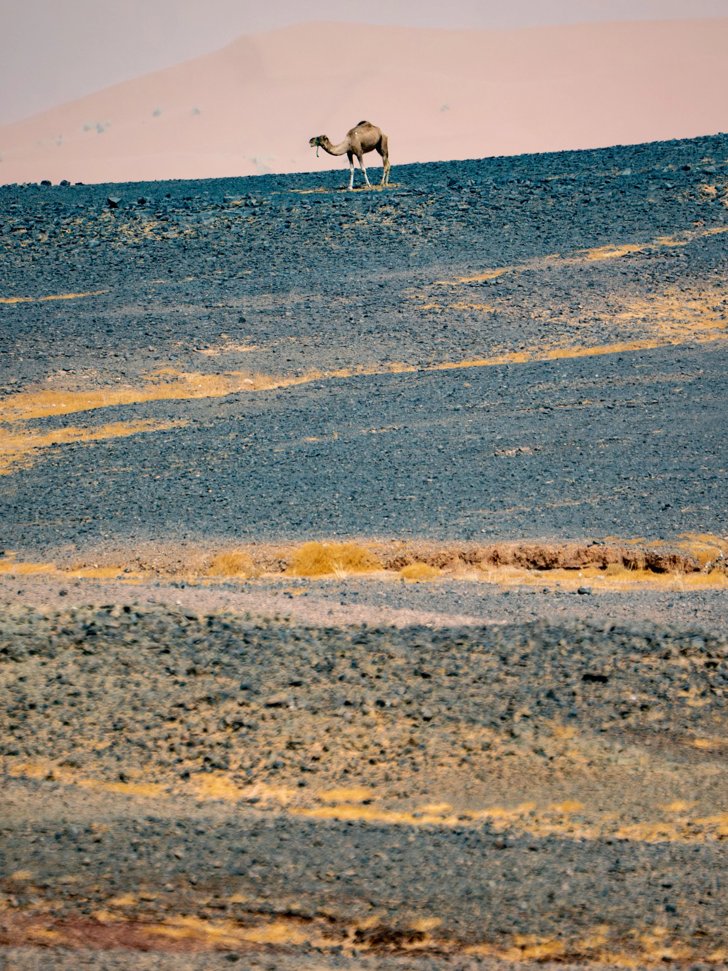 Morocco-0488.jpg
