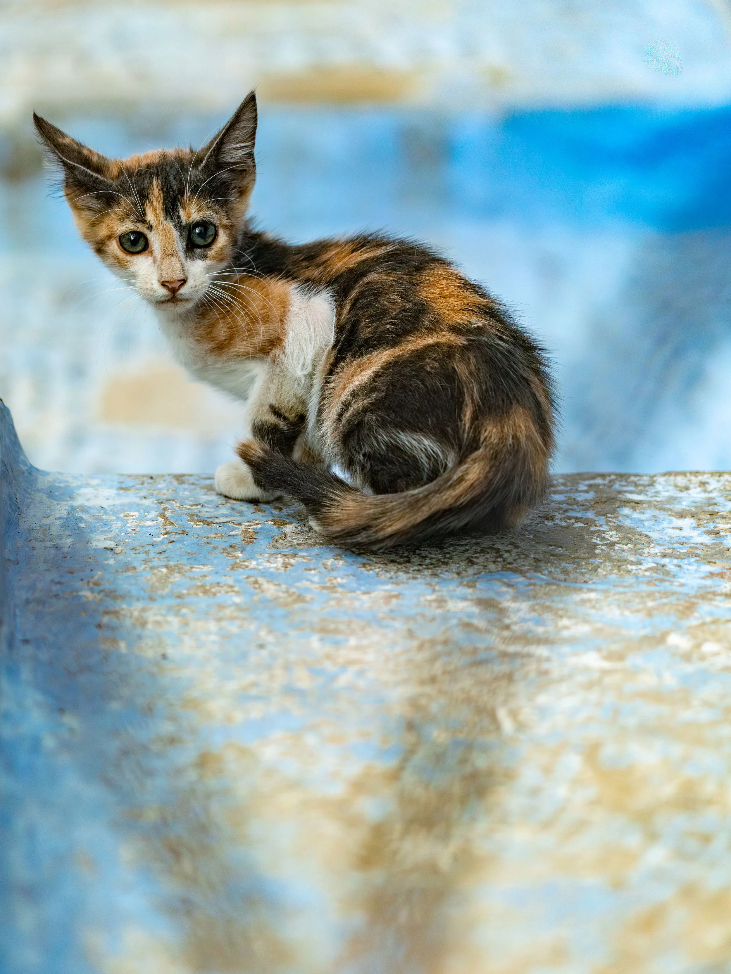 Morocco-01240.jpg