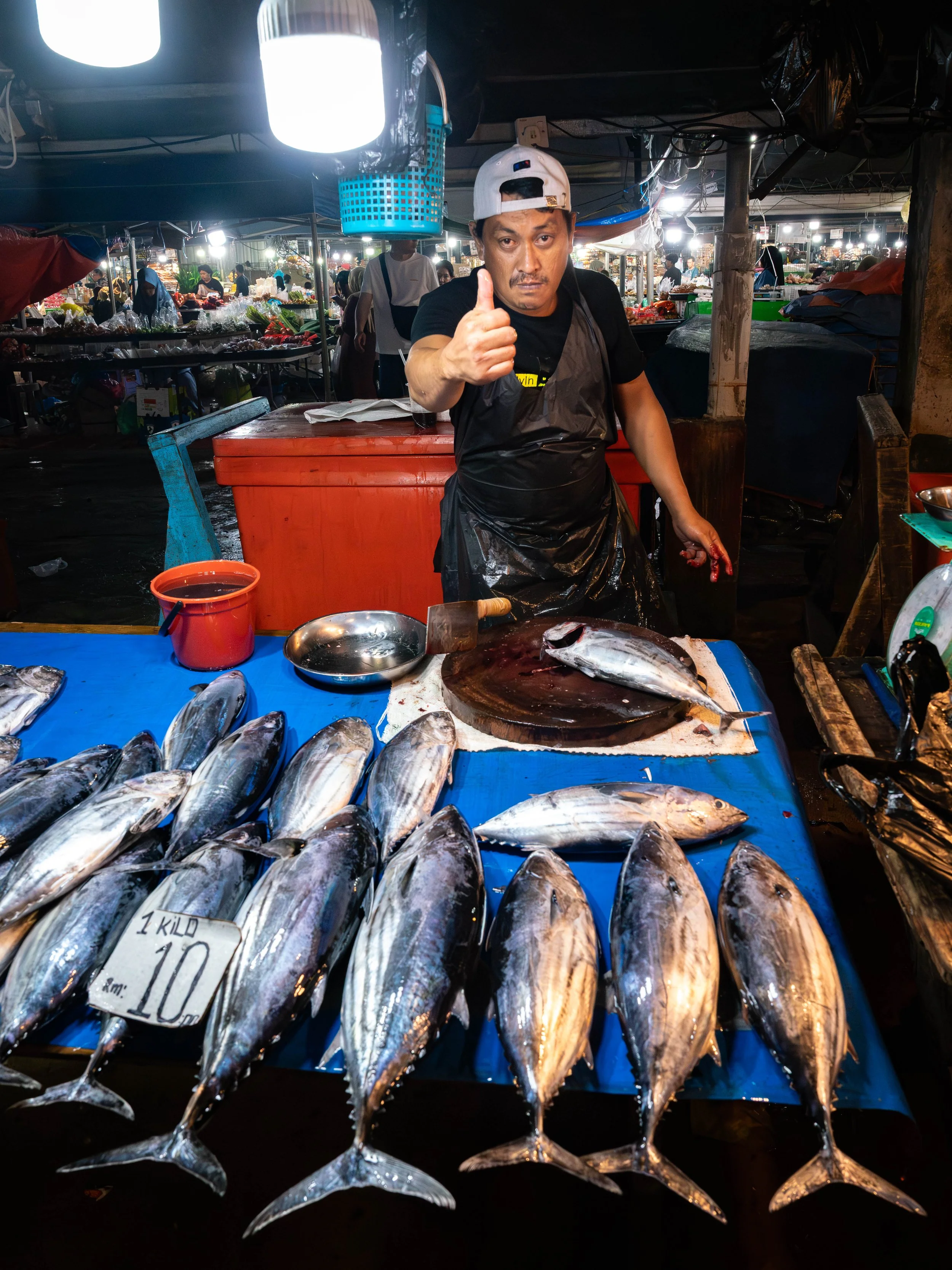 Borneo-Web-044.jpg