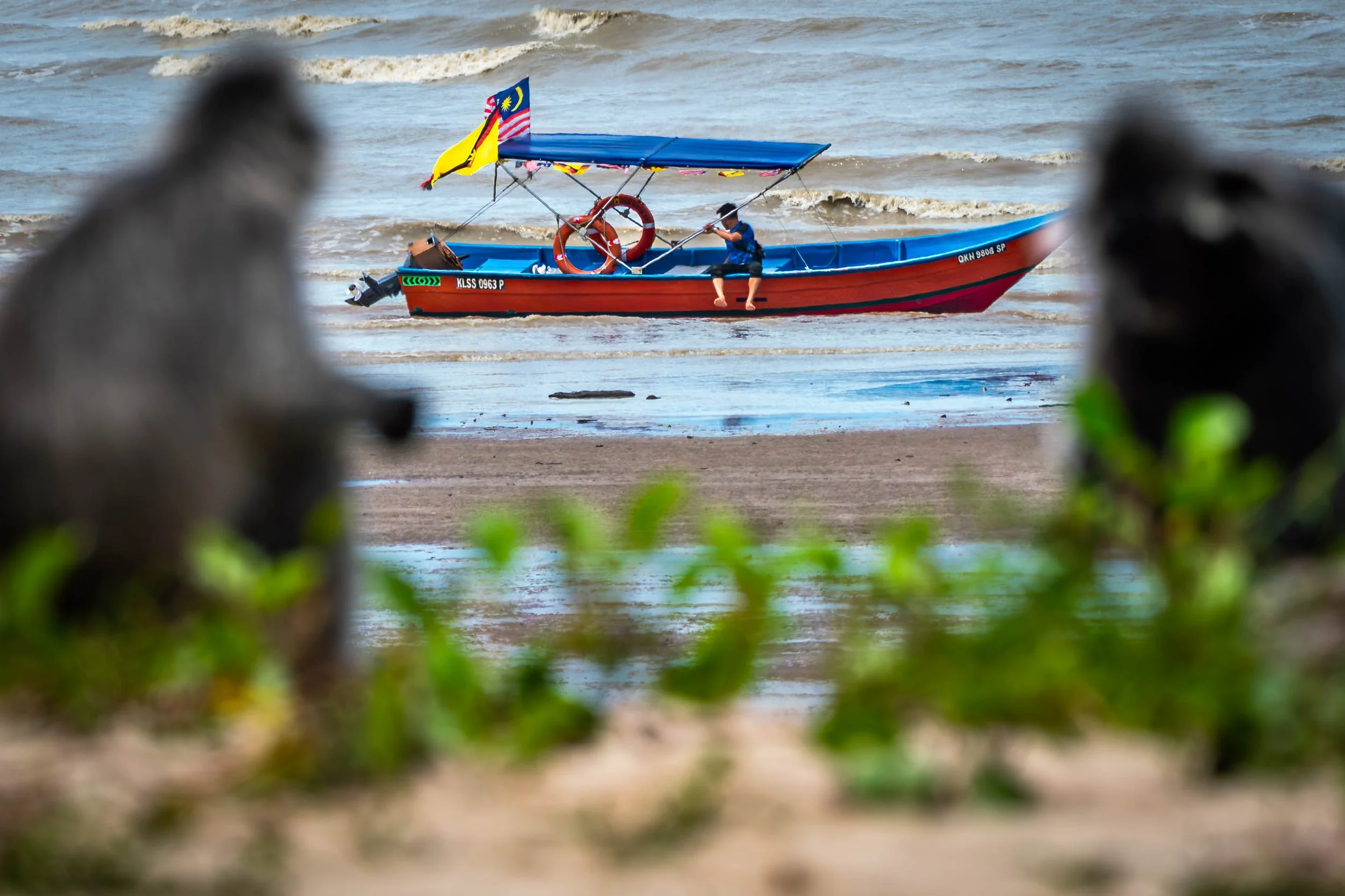 Borneo-Web-02.jpg