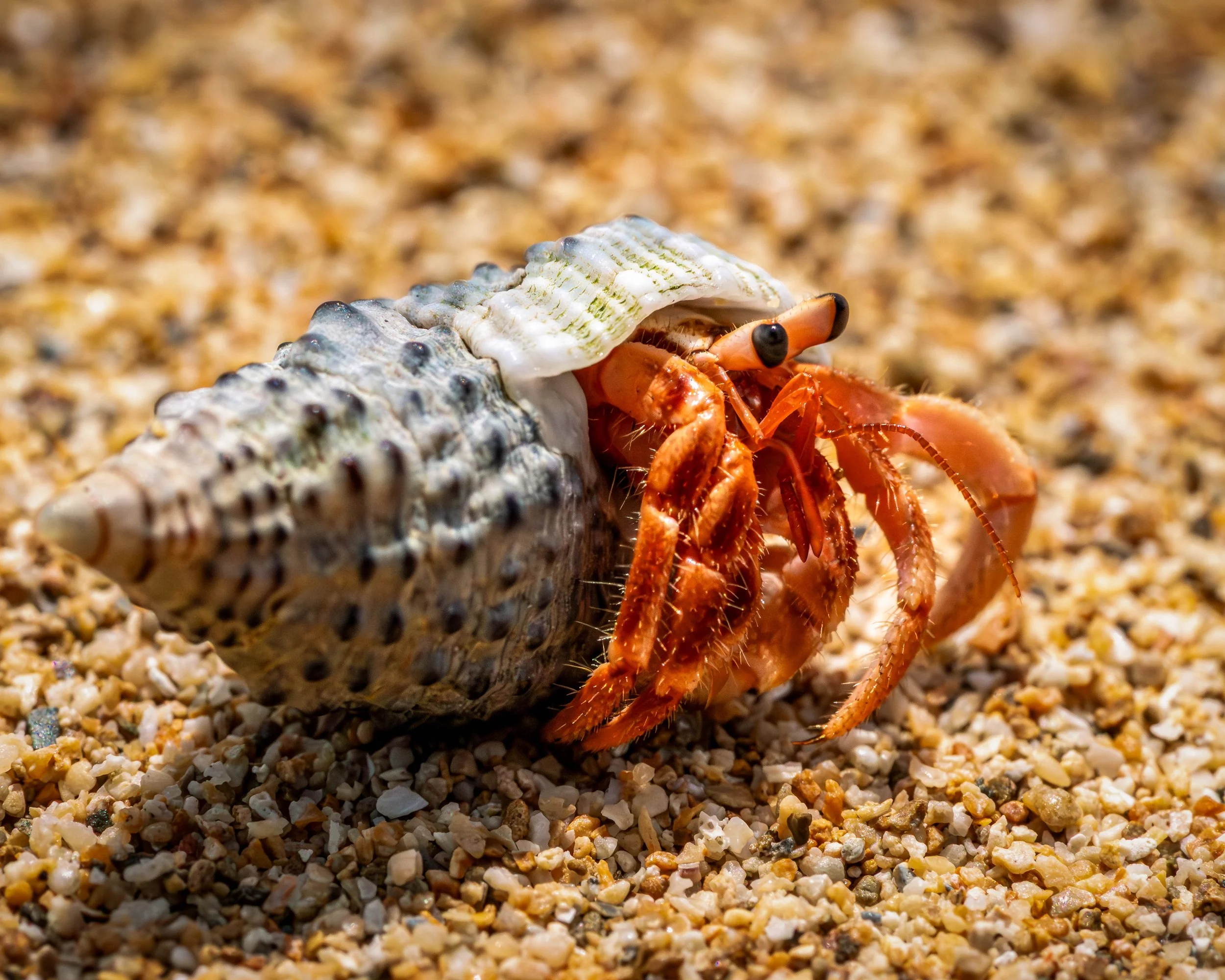 Borneo-Web-084.jpg
