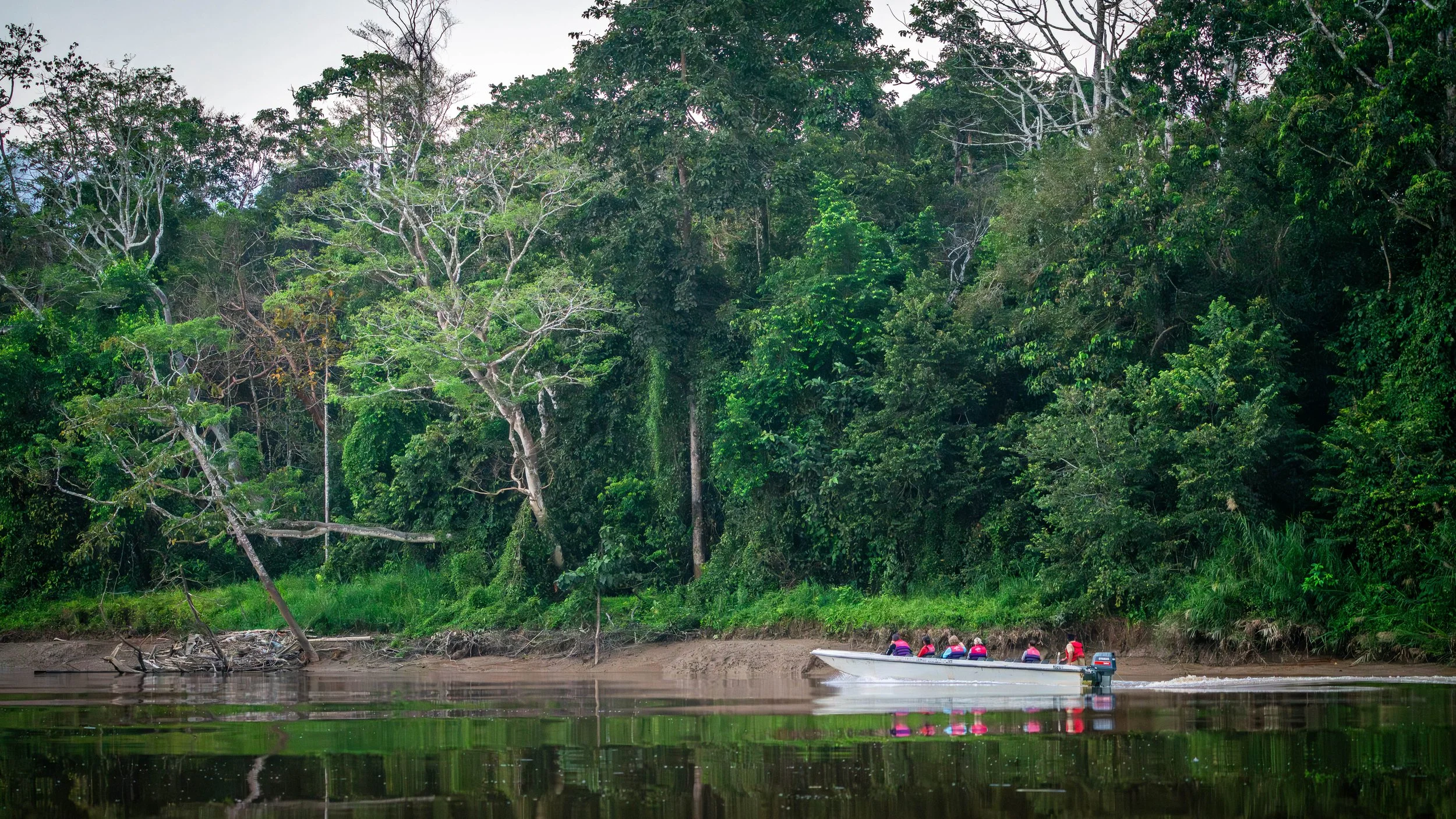 Borneo-Web-065.jpg