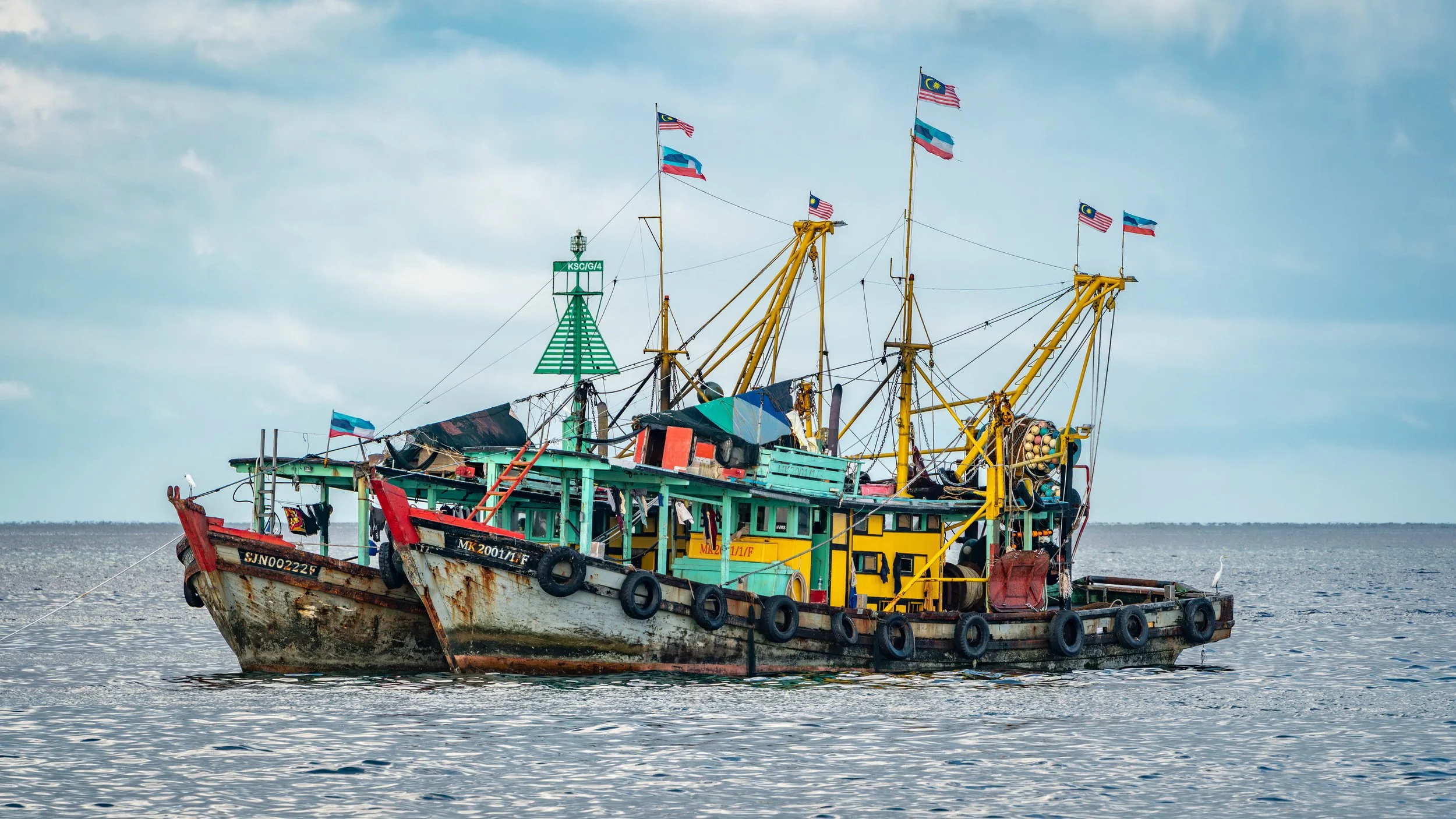 Borneo-Web-049.jpg