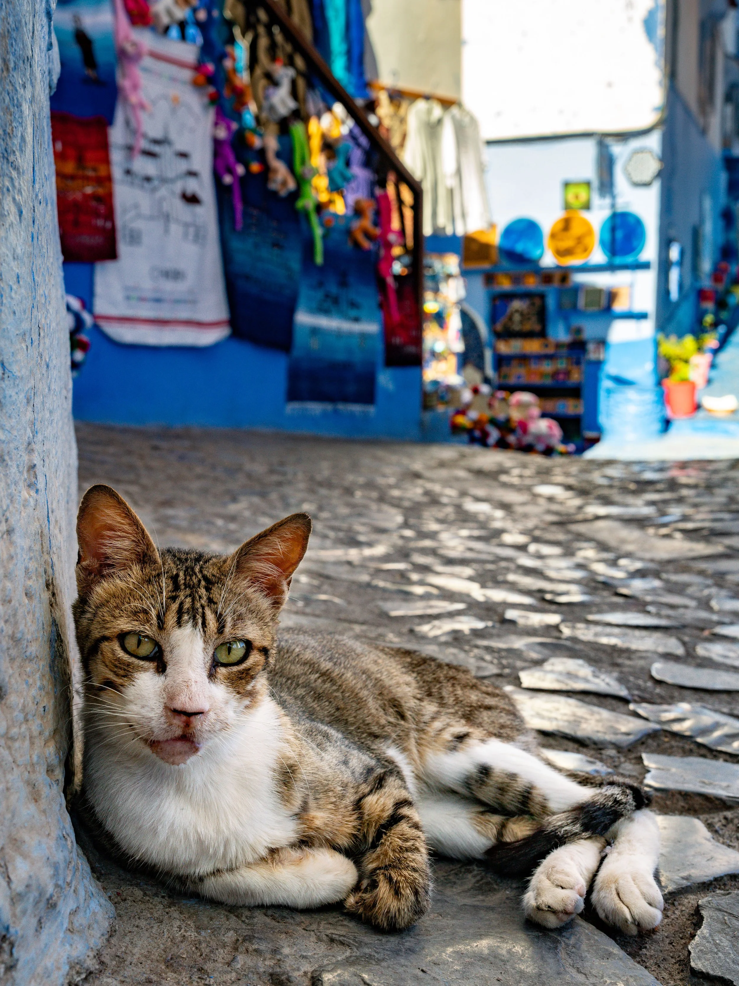 Morocco-01293.jpg