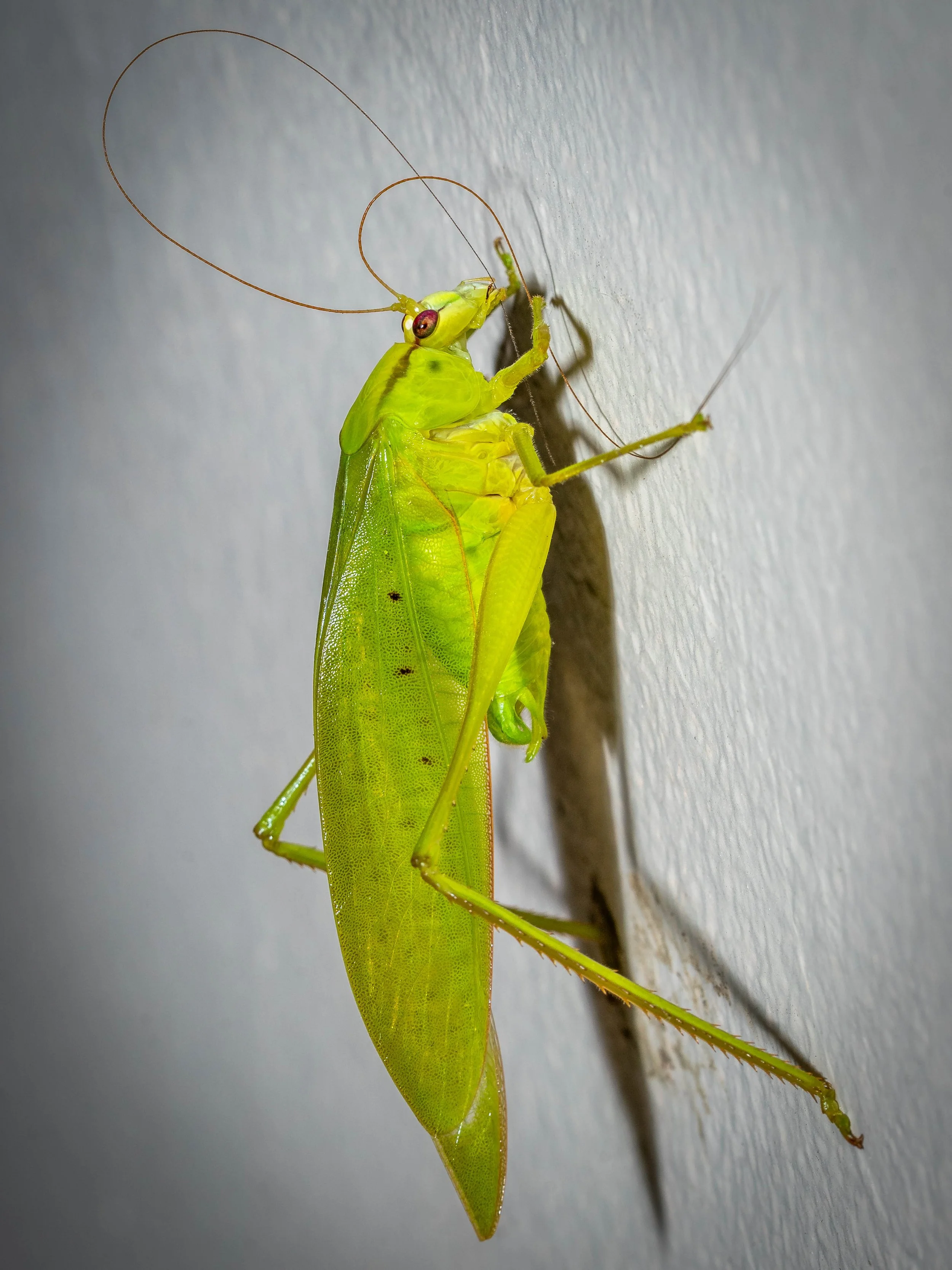 Borneo-Web-019.jpg