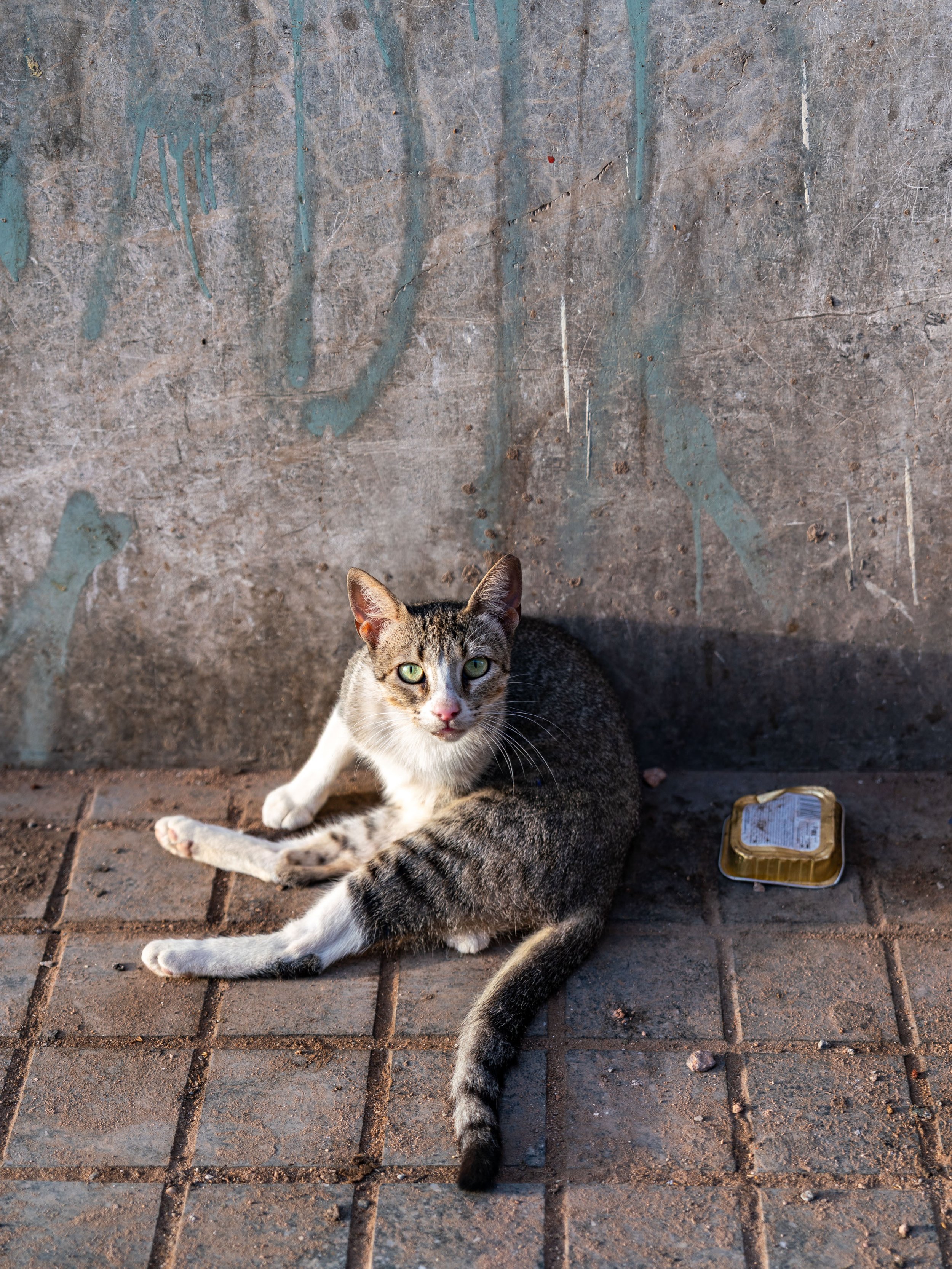Morocco-01048.jpg