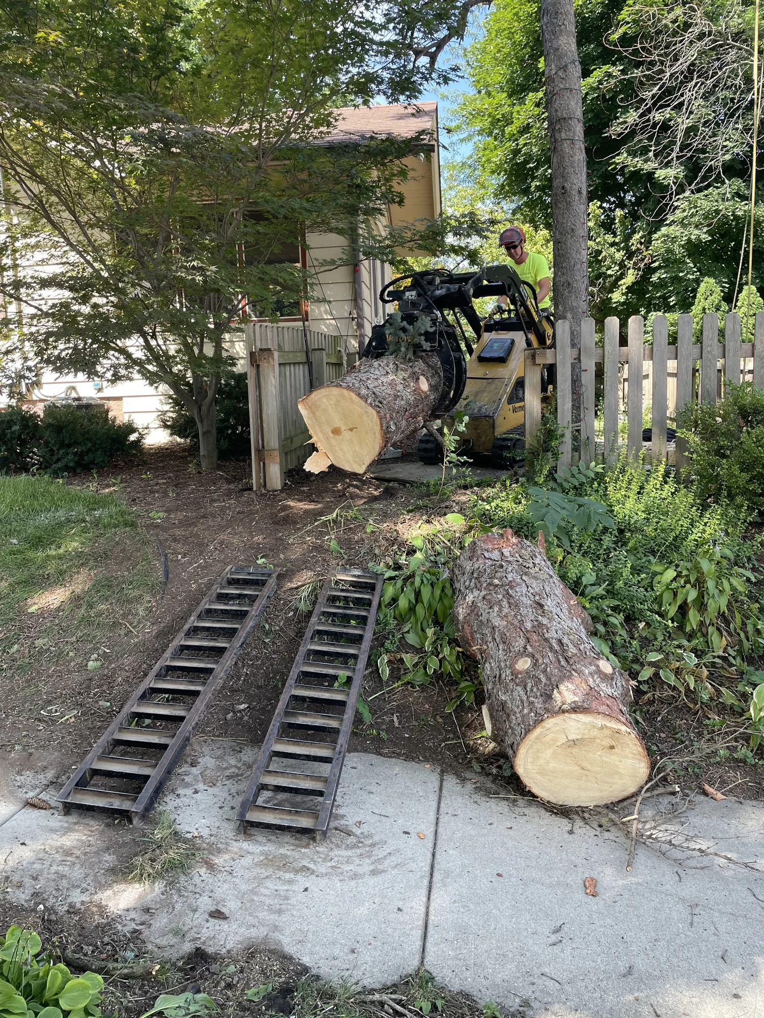 Small Space Tree Removal in WI | Tree House Arbor Science