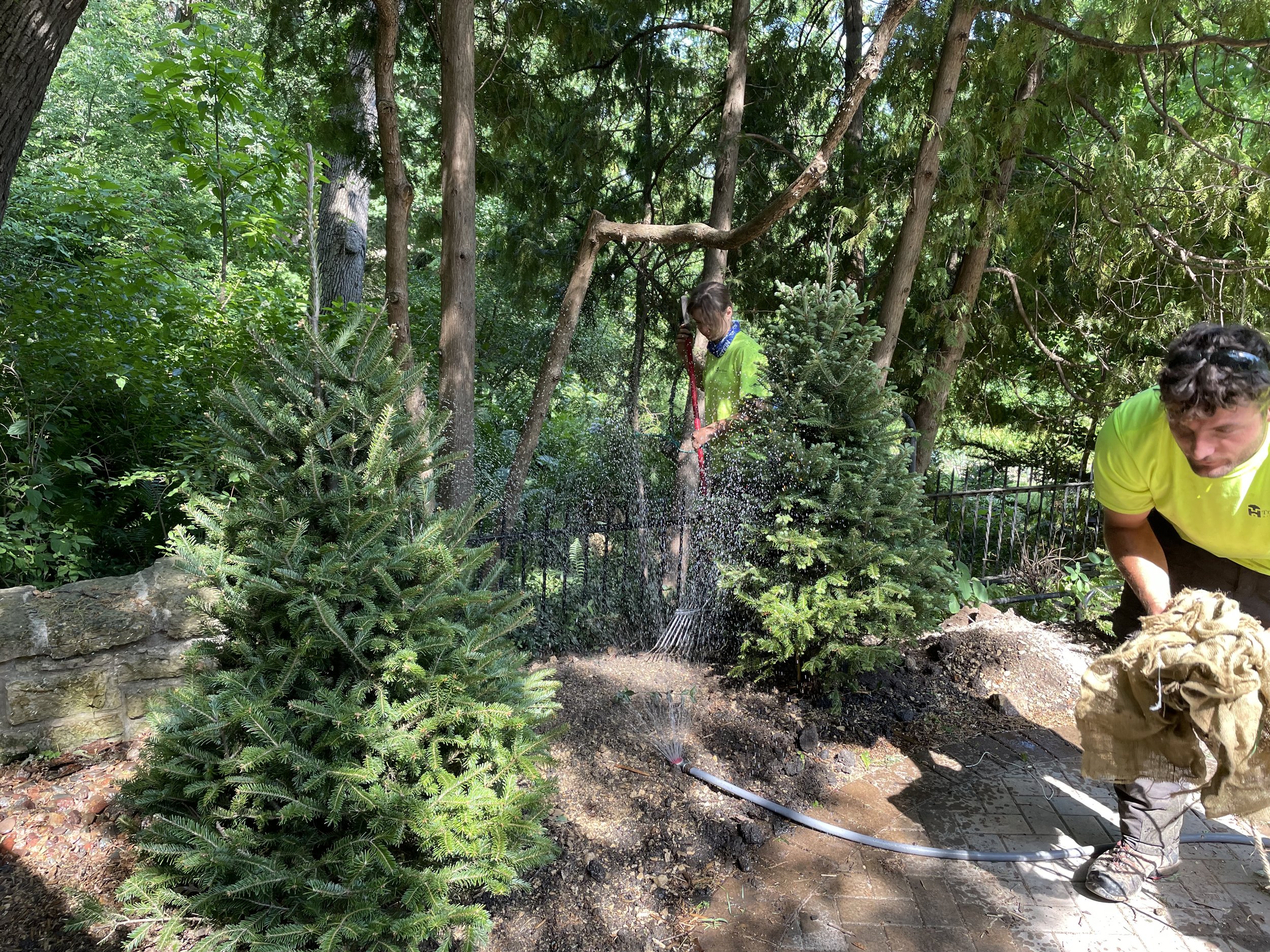 watering-young-trees-in-Madison_-WI.jpg