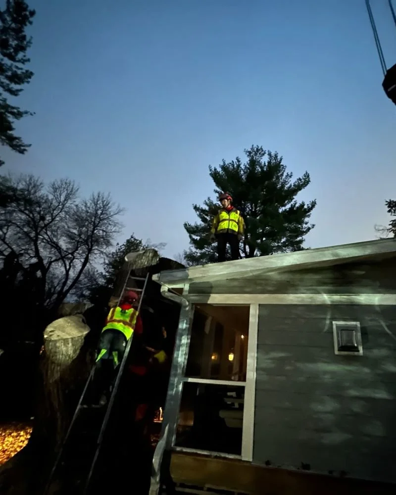 working on tree damage in the evening