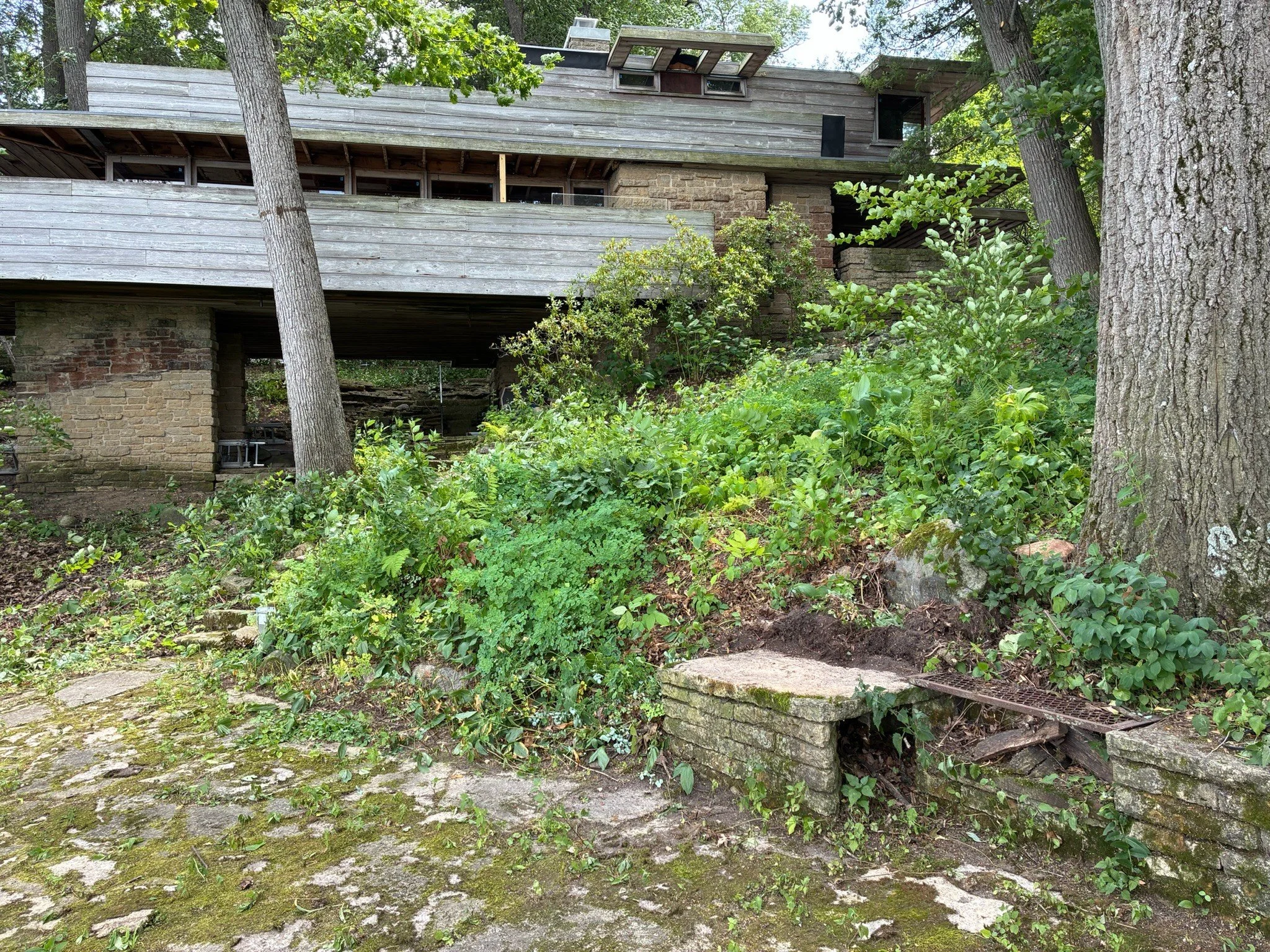 Tree House Arbor Science work at the Pew House upper yard