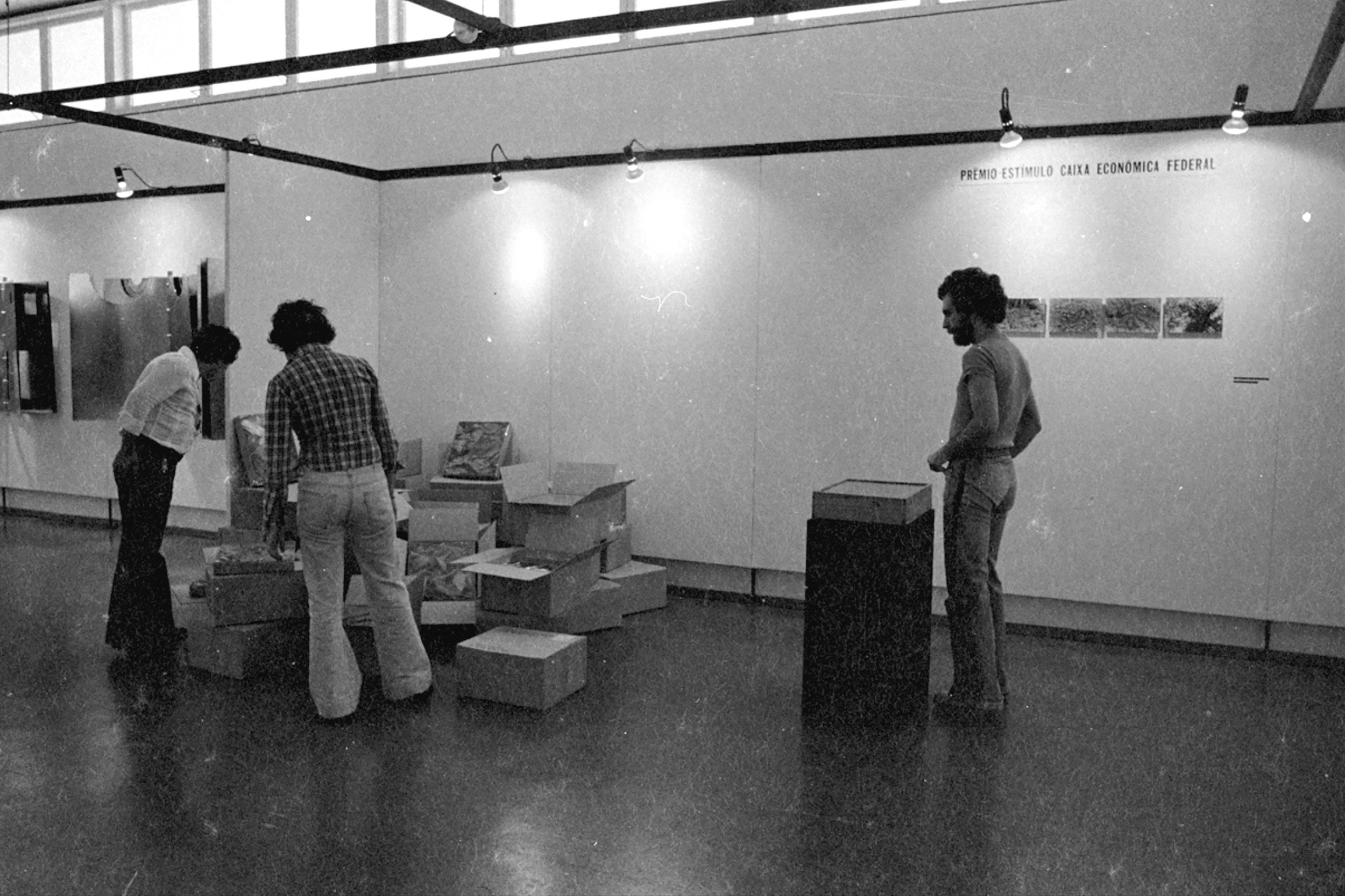  7º panorama da arte atual brasileira / mam-sp, são paulo, 1975 