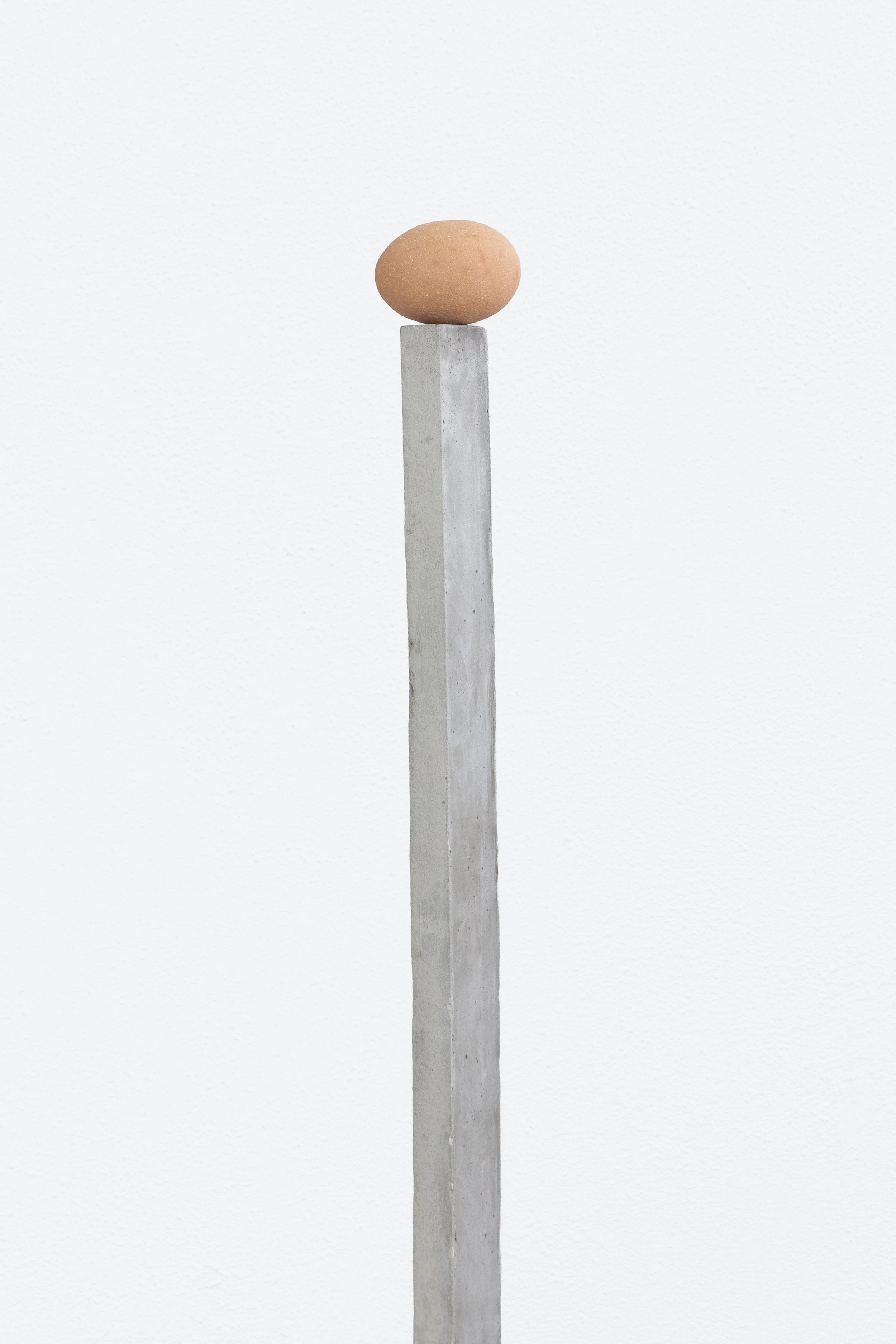frieze new york