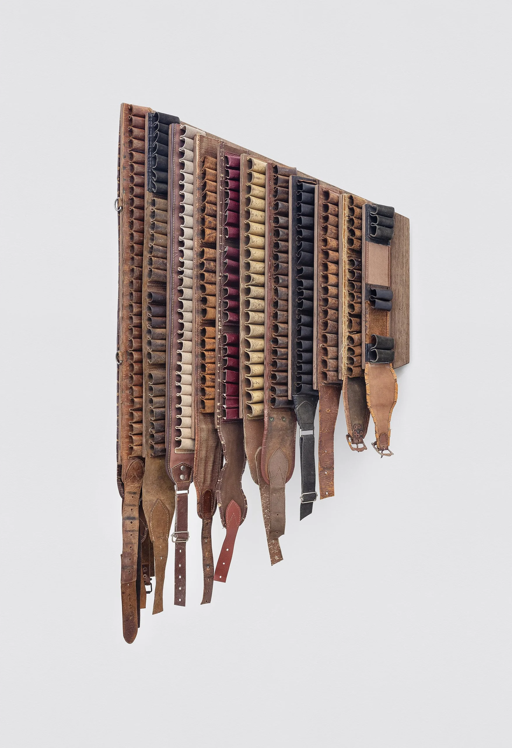 alexandre nitzsche cysne: sonho de valsa