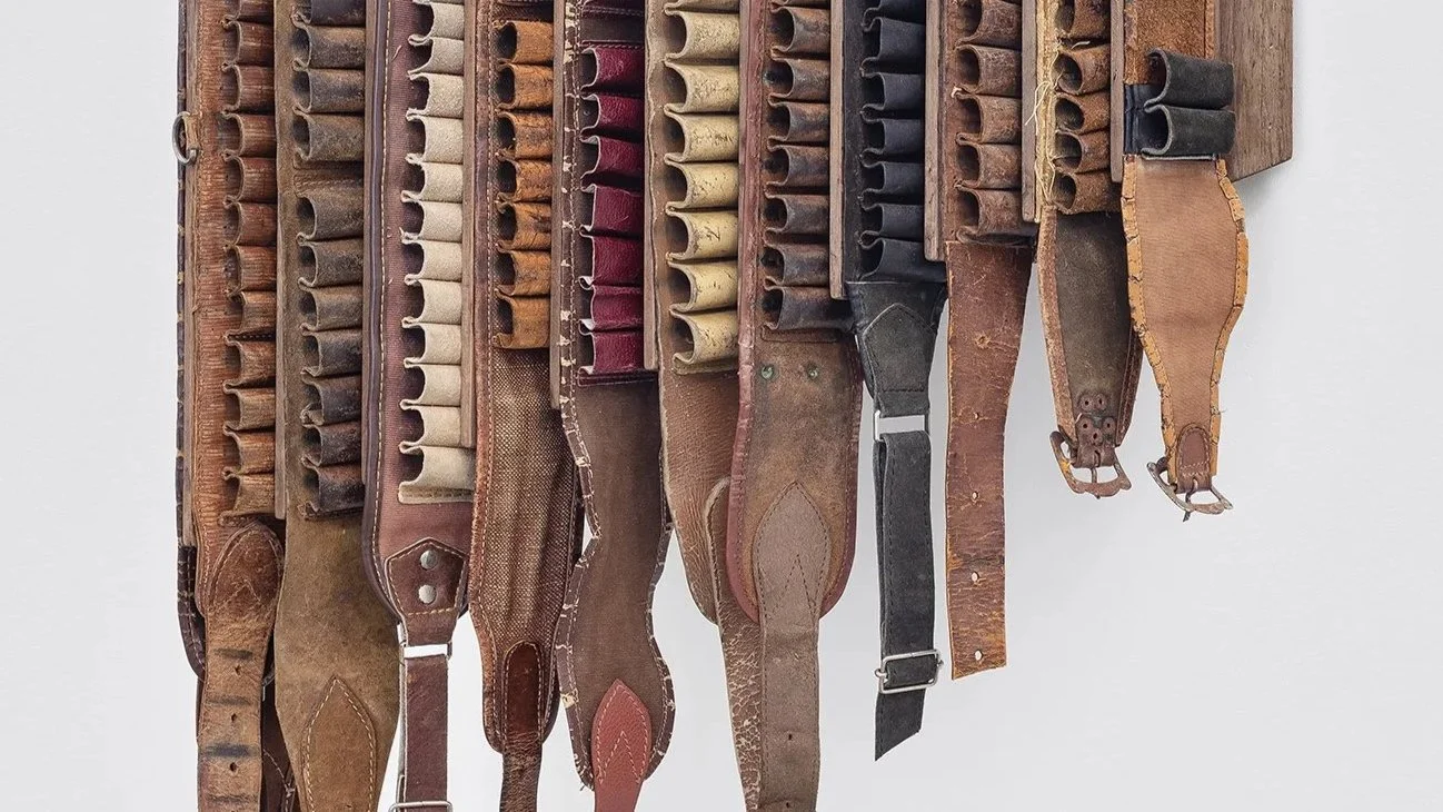  alexandre nitzsche cysne, refúgio [detalhe], 2026. foto filipe berndt 