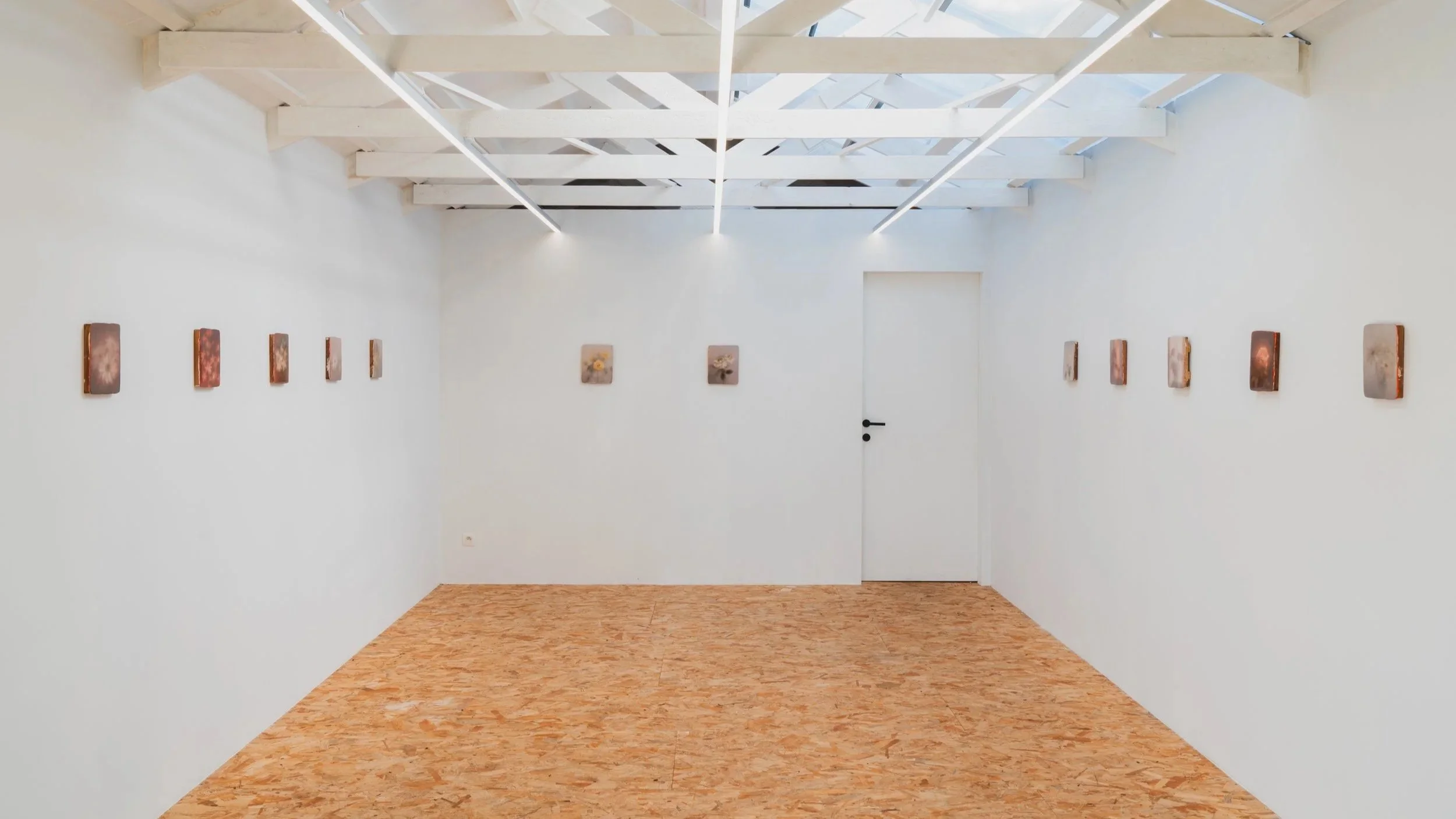 quietude / verduyn gallery, wortegem-petegem, bélgica, 2026