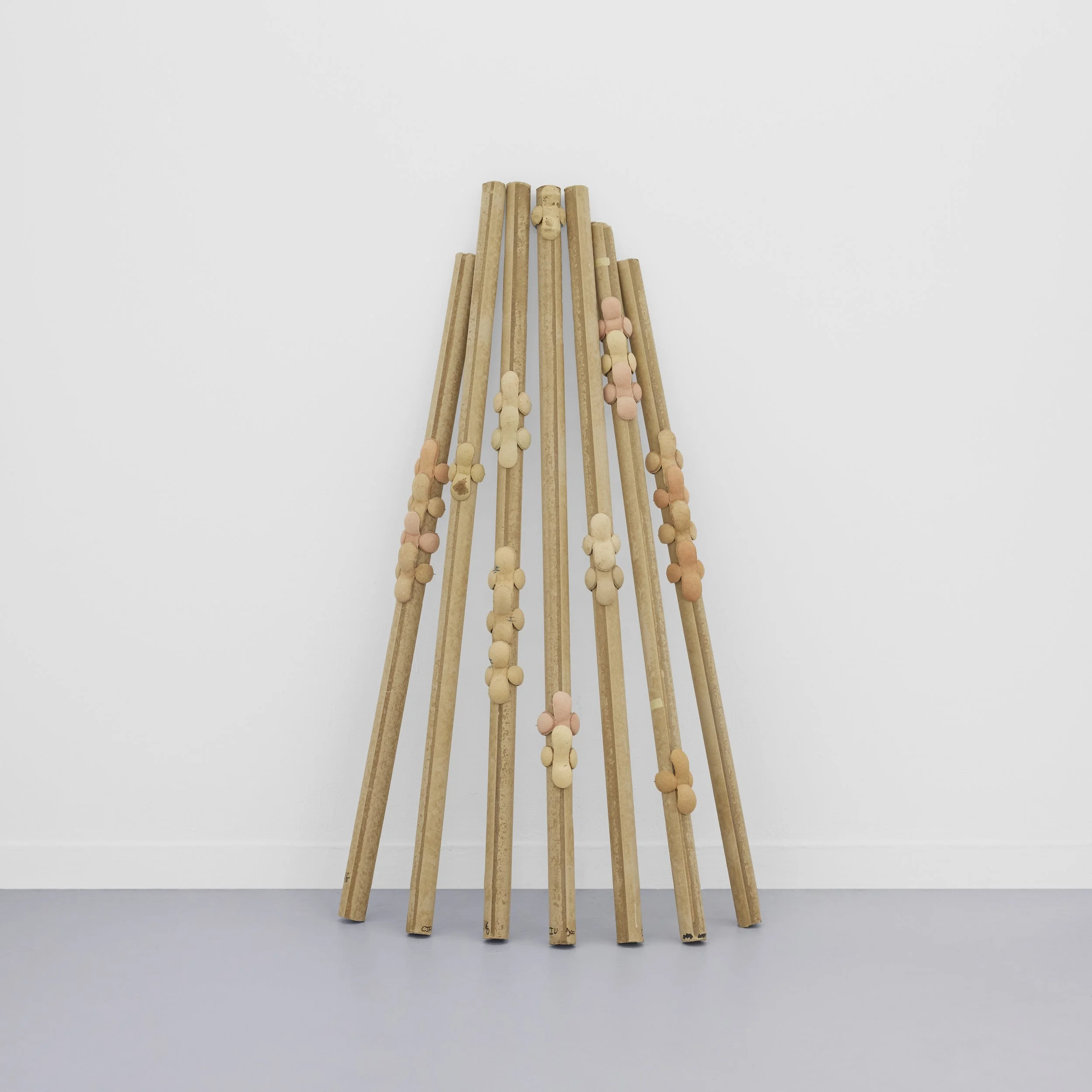 alexandre nitzsche cysne