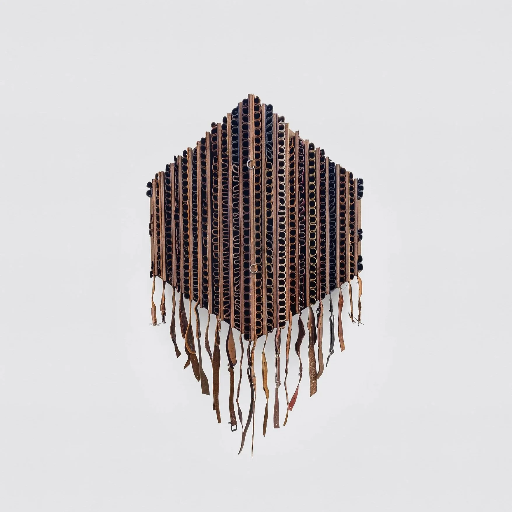 alexandre nitzsche cysne