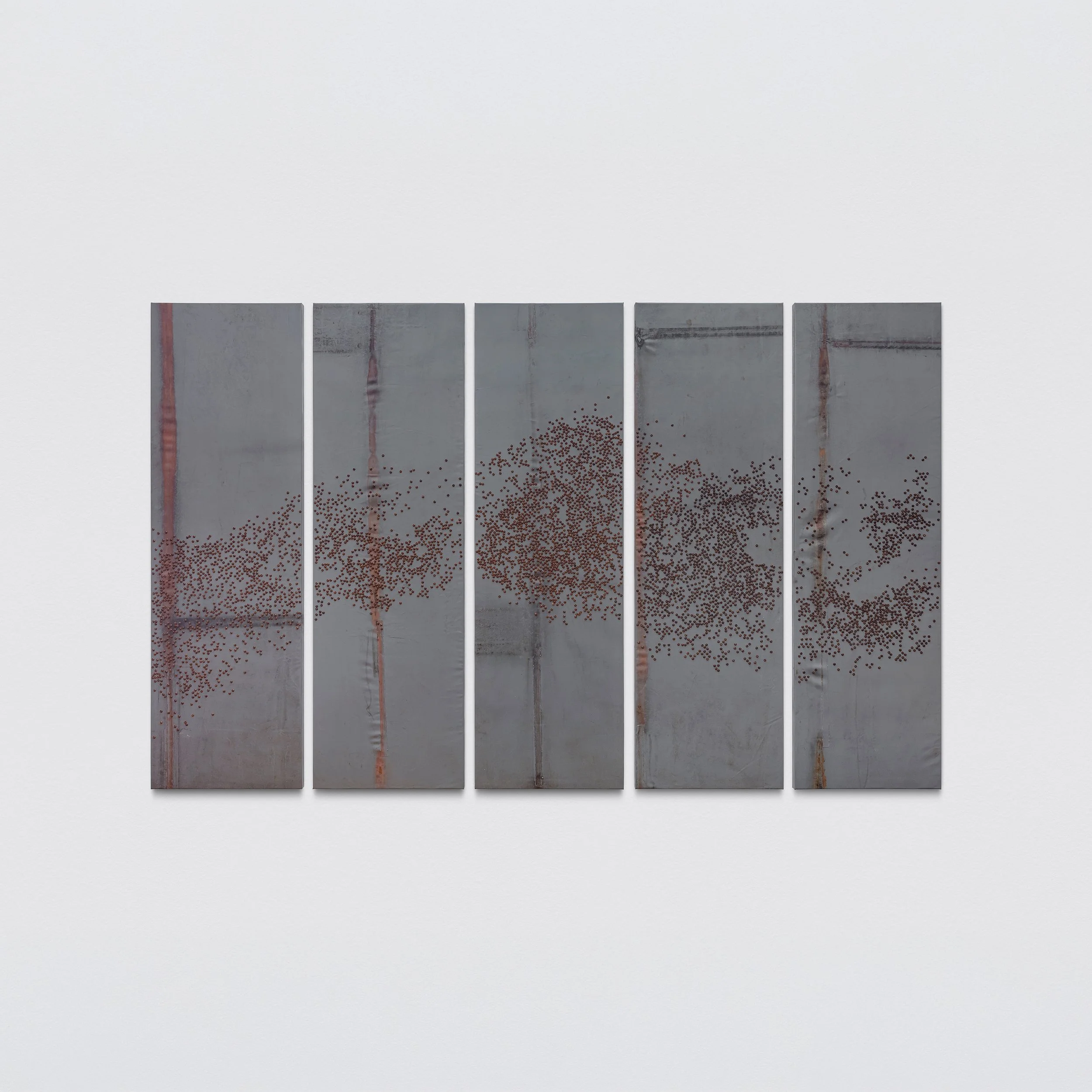 alexandre nitzsche cysne
