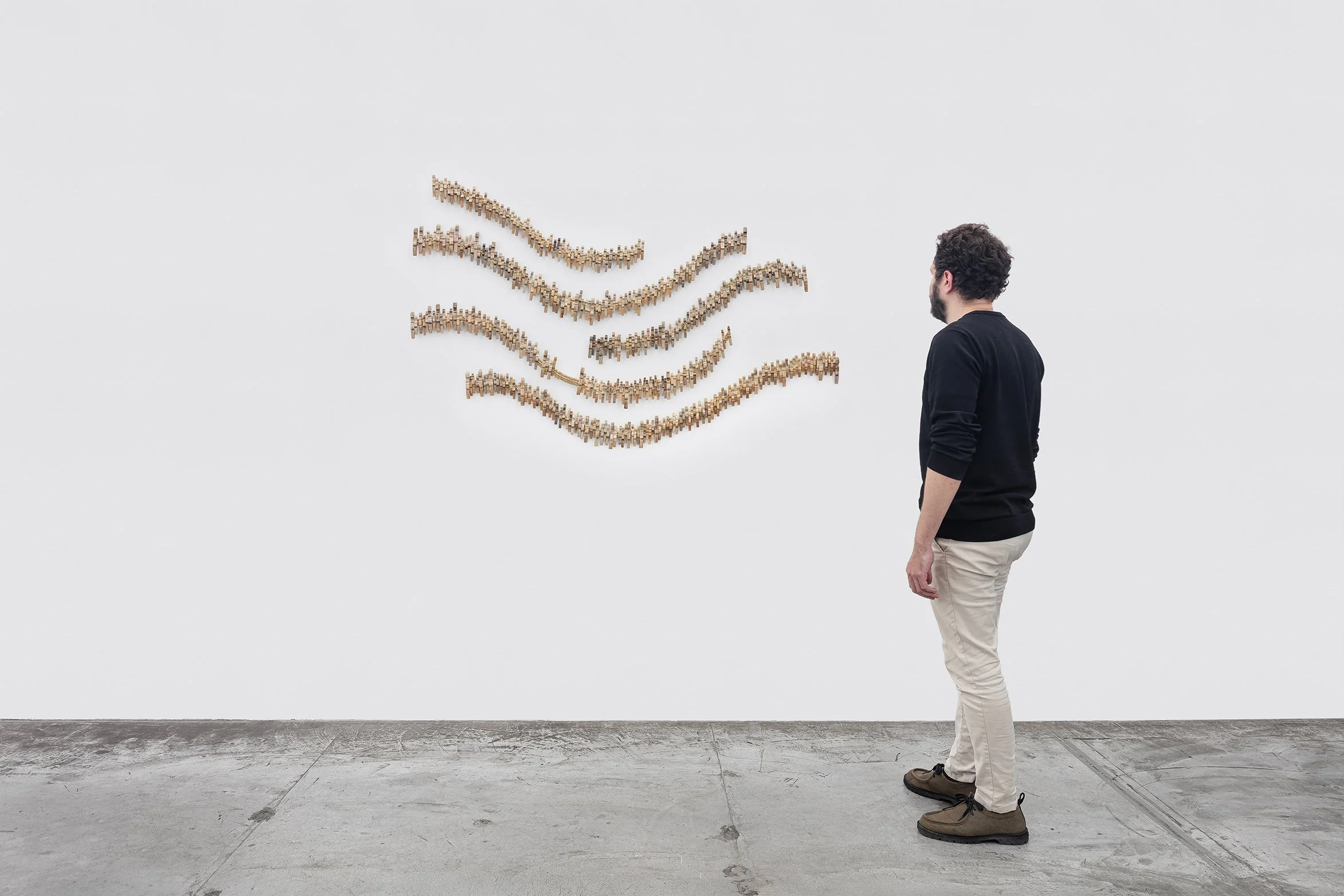 Alexandre Nitzsche Cysne_ID6162_web_c.jpg