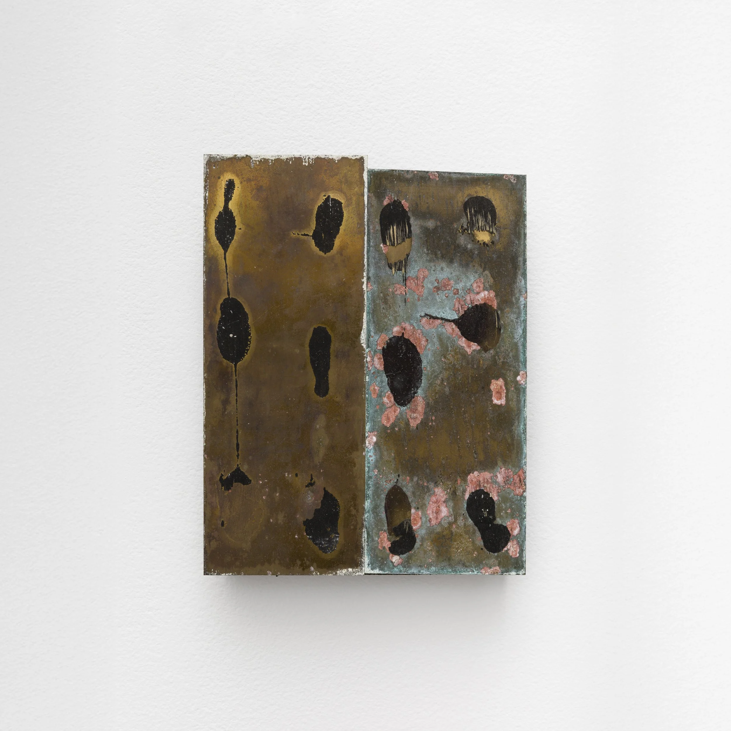 alexandre nitzsche cysne