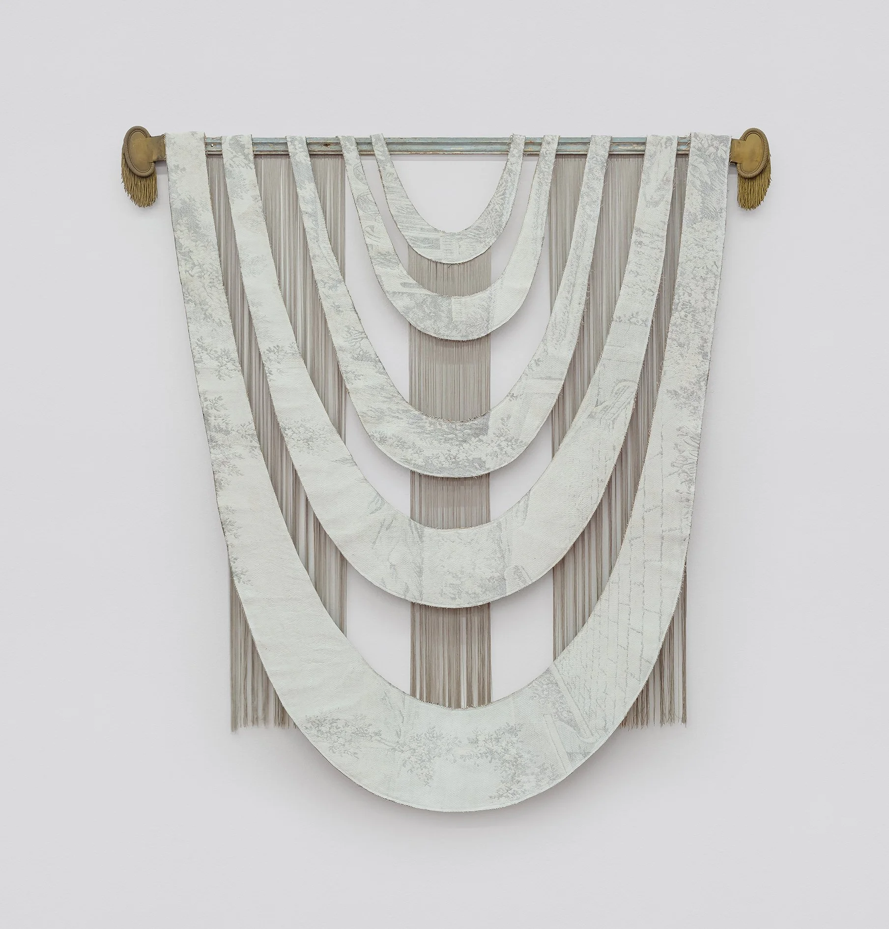 alexandre nitzsche cysne
