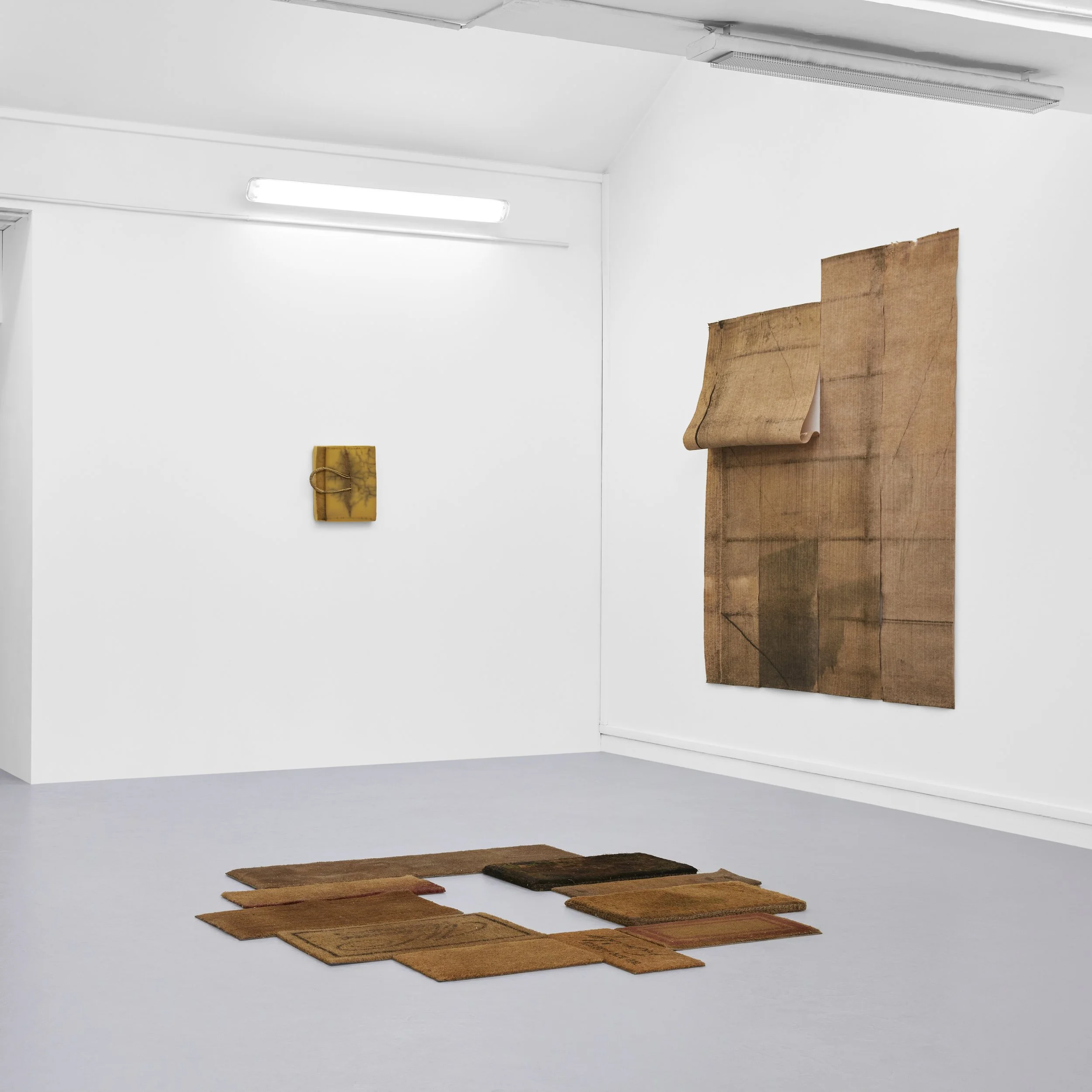 hope we always surface / palais des beaux arts, paris, 2024