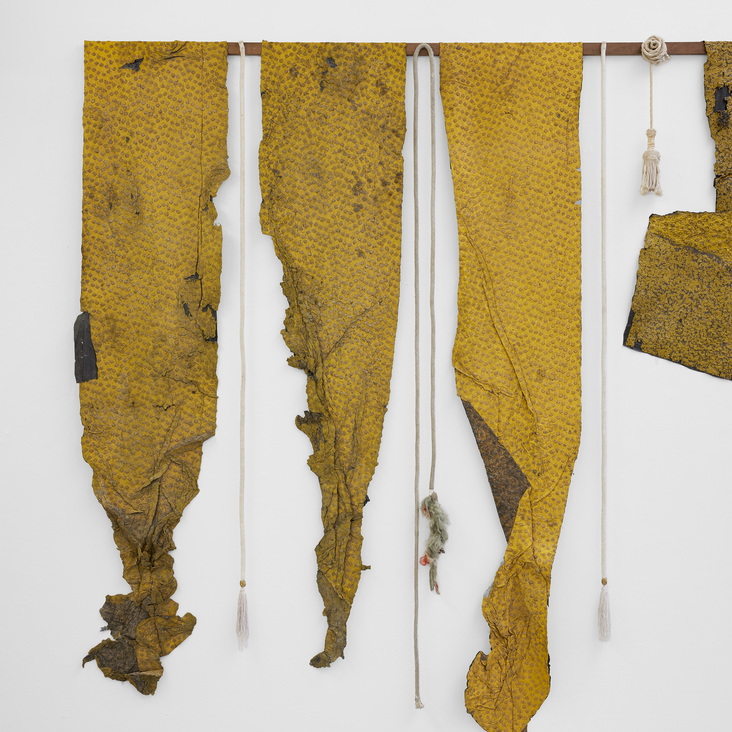 alexandre nitzsche cysne