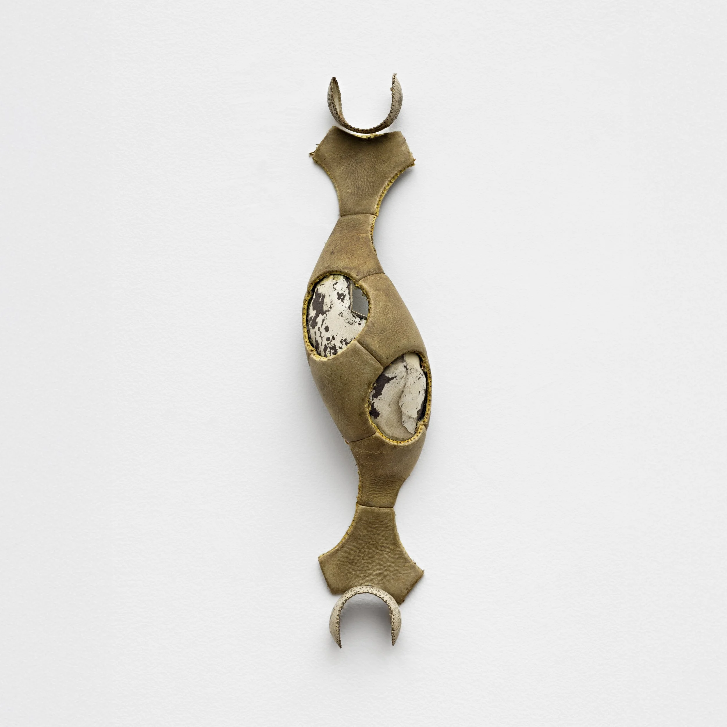 alexandre nitzsche cysne