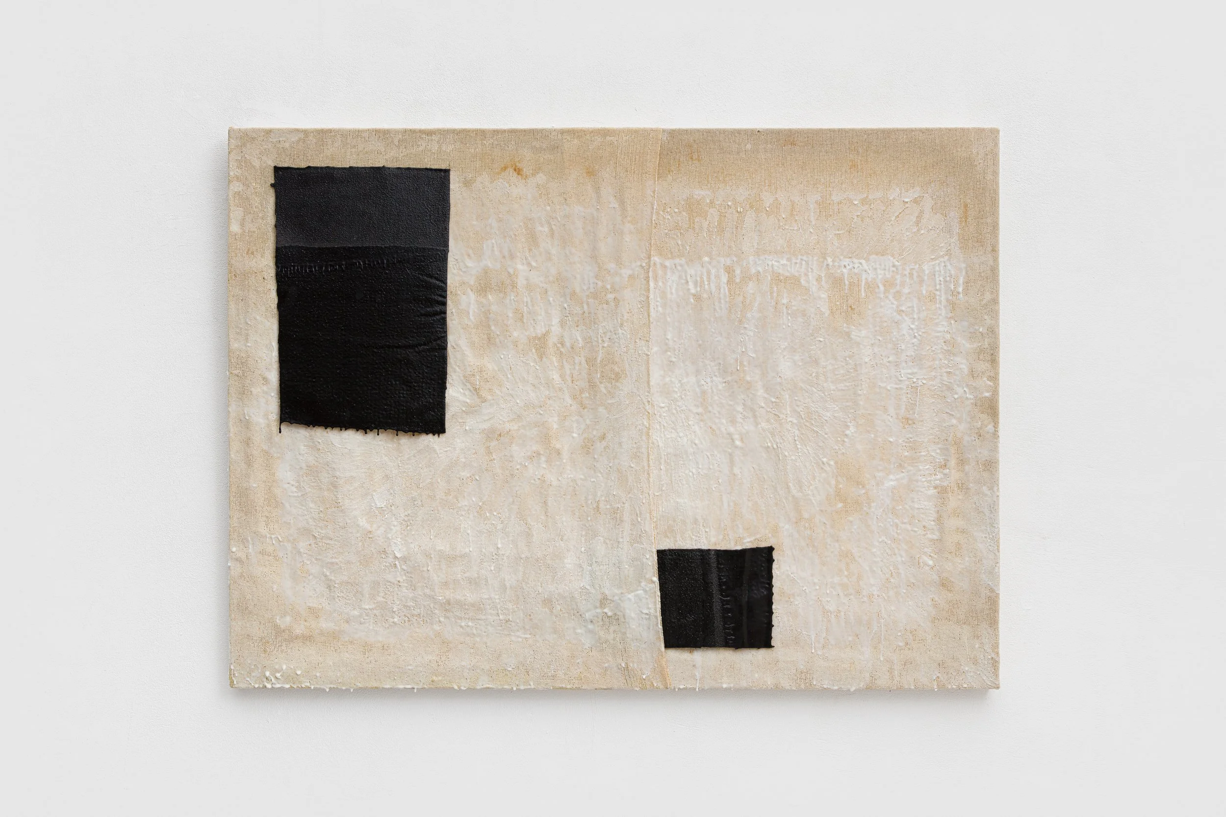 raphael tepedino