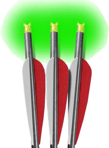 LUMENOK XBOW ARROW 22" BARNETT