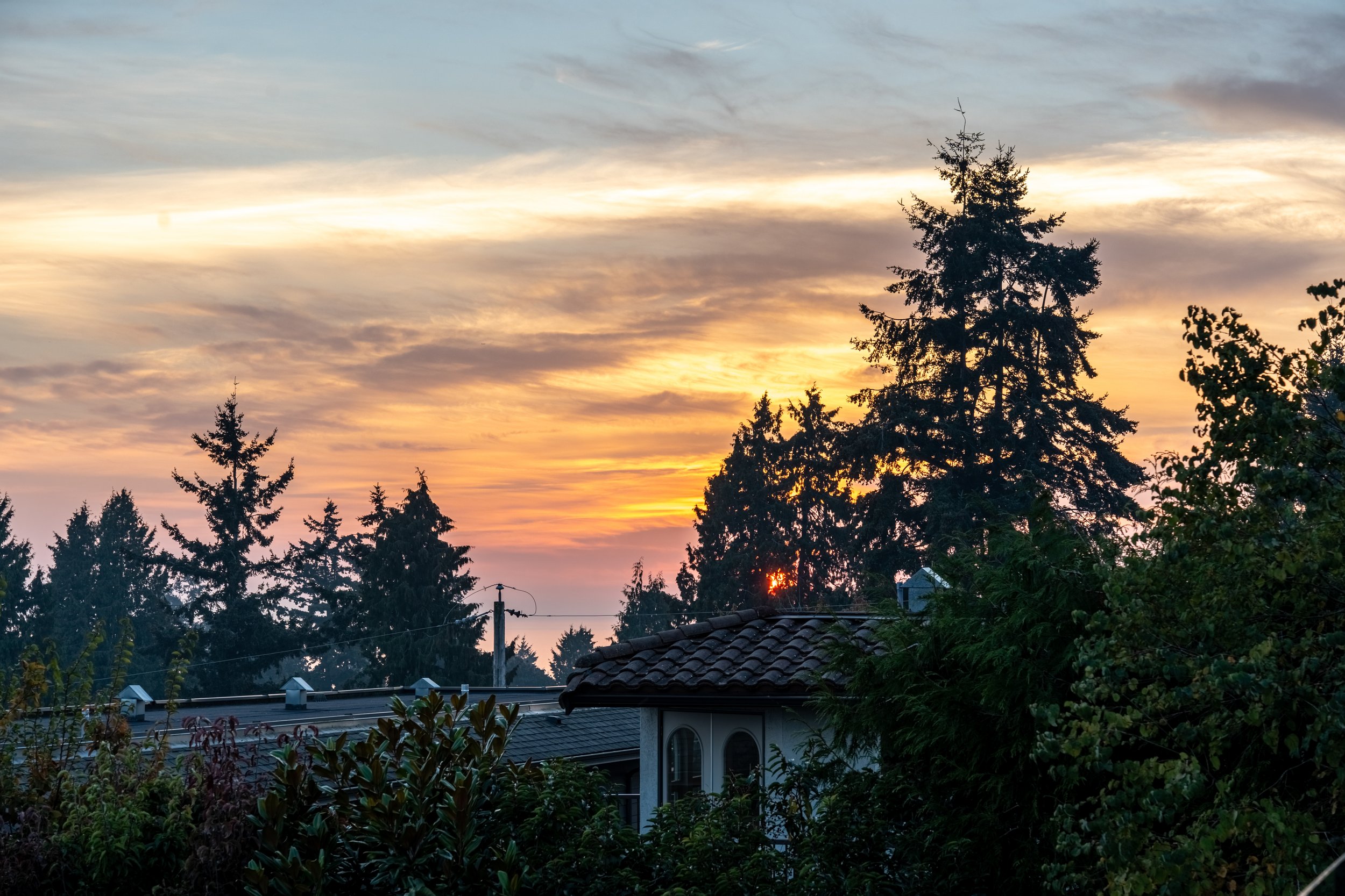 971KentSt(50of54).jpg