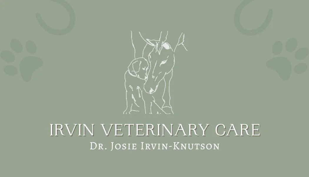 Irvin Veterinary Care