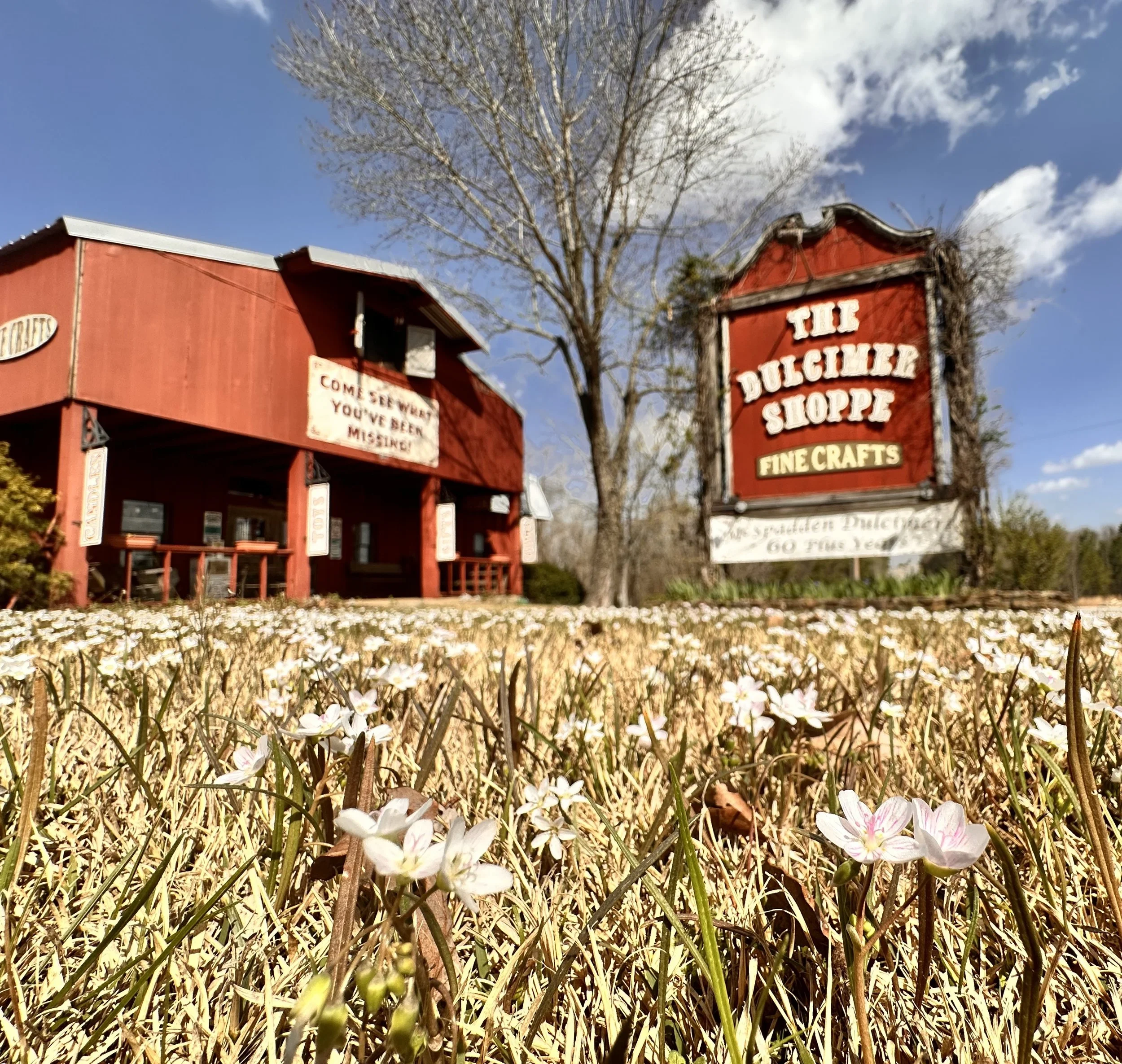 Dulcimer Shoppe Early Spring.jpg