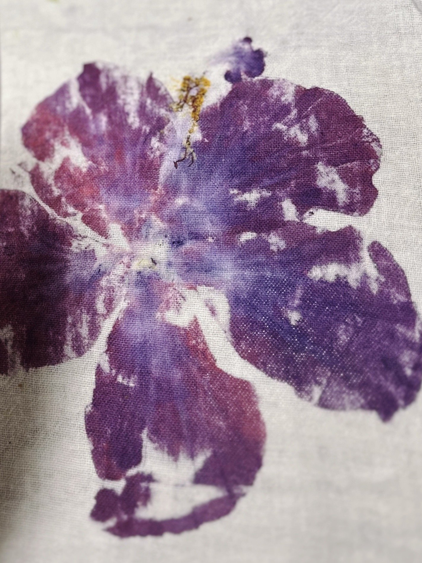 Snapseed 18.jpg