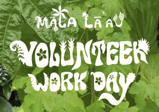 volunteerworkday.png